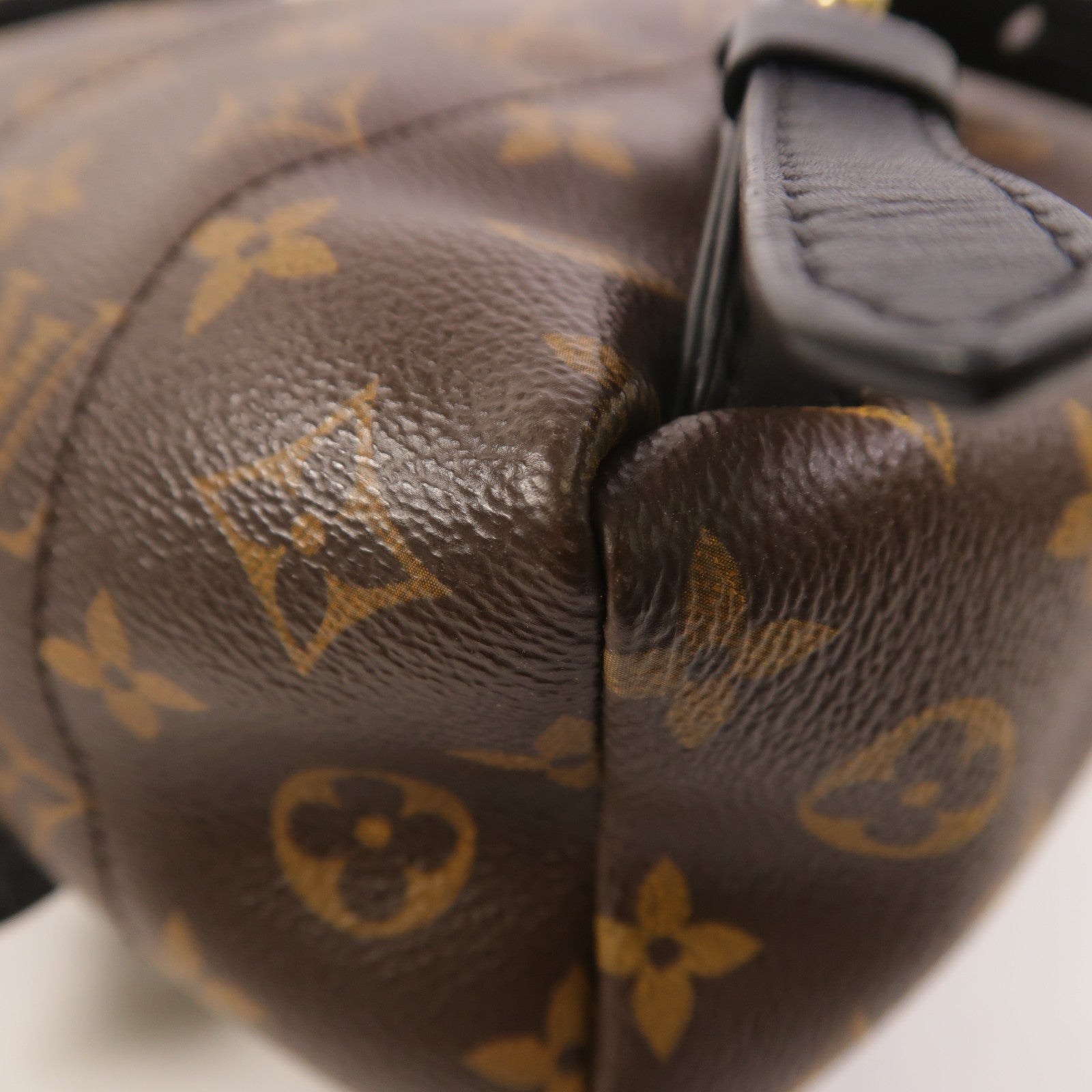 LOUIS VUITTON Monogram Palm Springs PM背包
