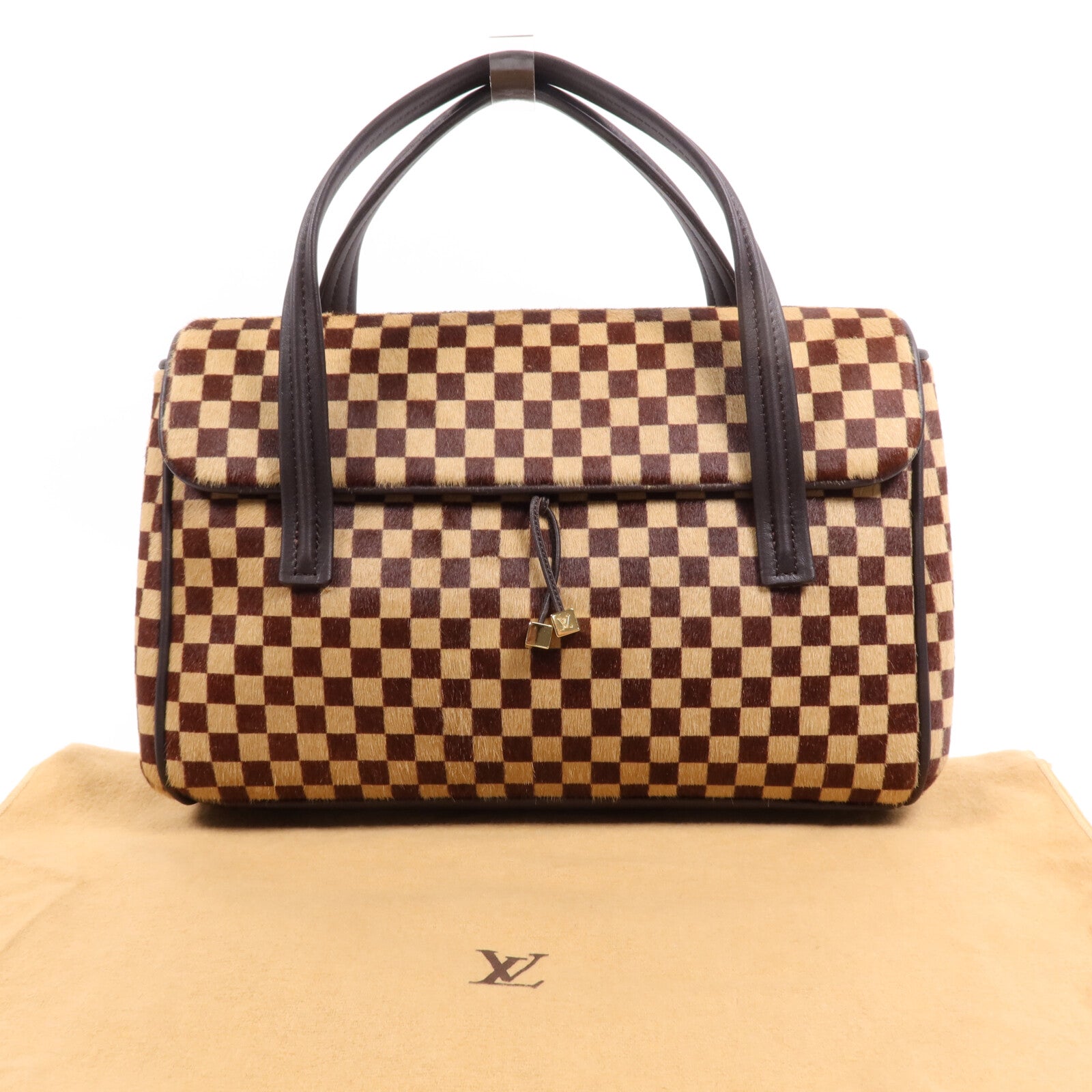 LOUIS VUITTON Damier Sauvage Lionne金扣手挽袋