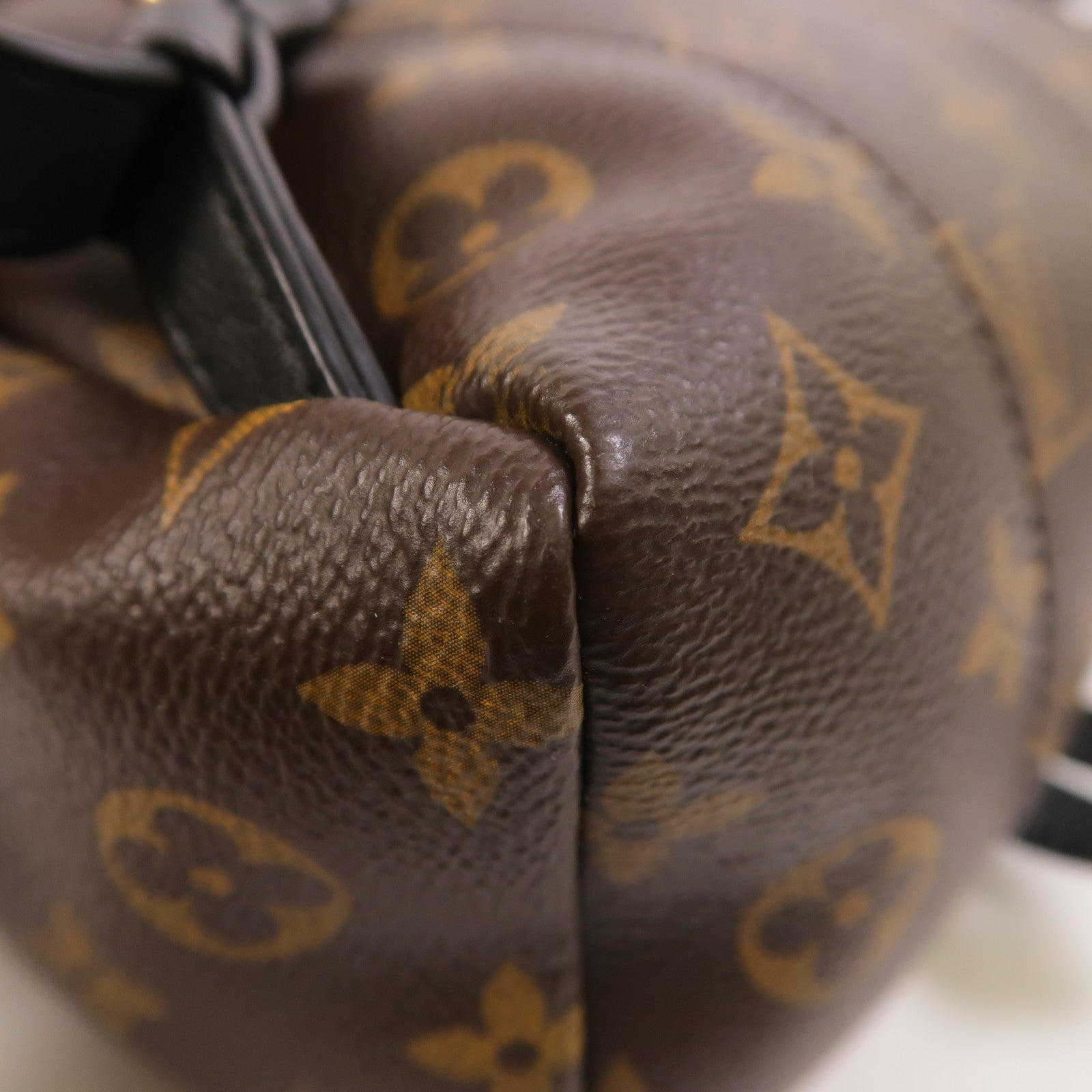 LOUIS VUITTON Monogram Palm Springs PM背包