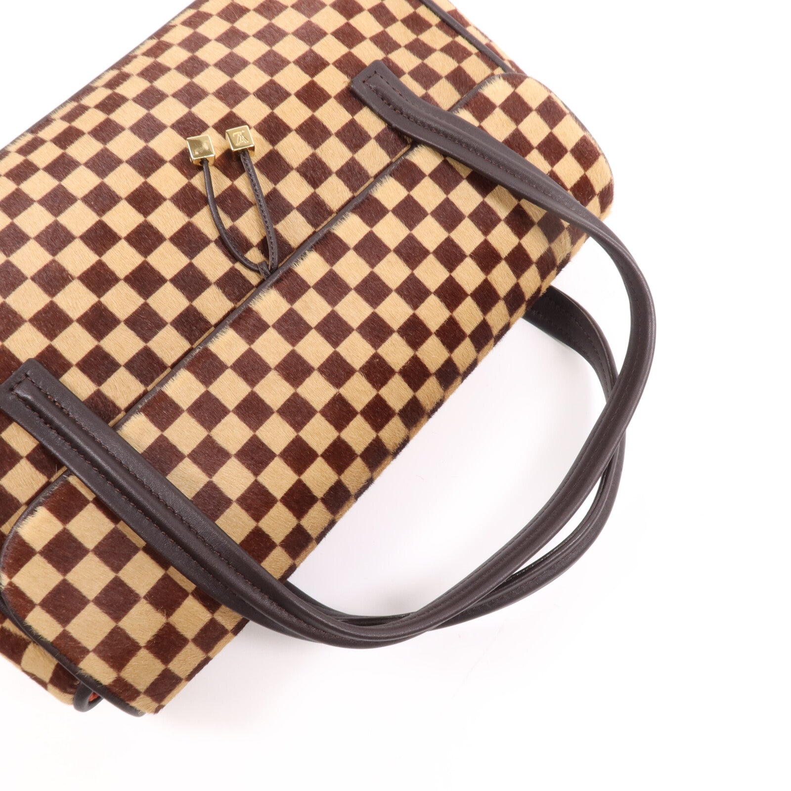 LOUIS VUITTON Damier Sauvage Lionne金扣手挽袋