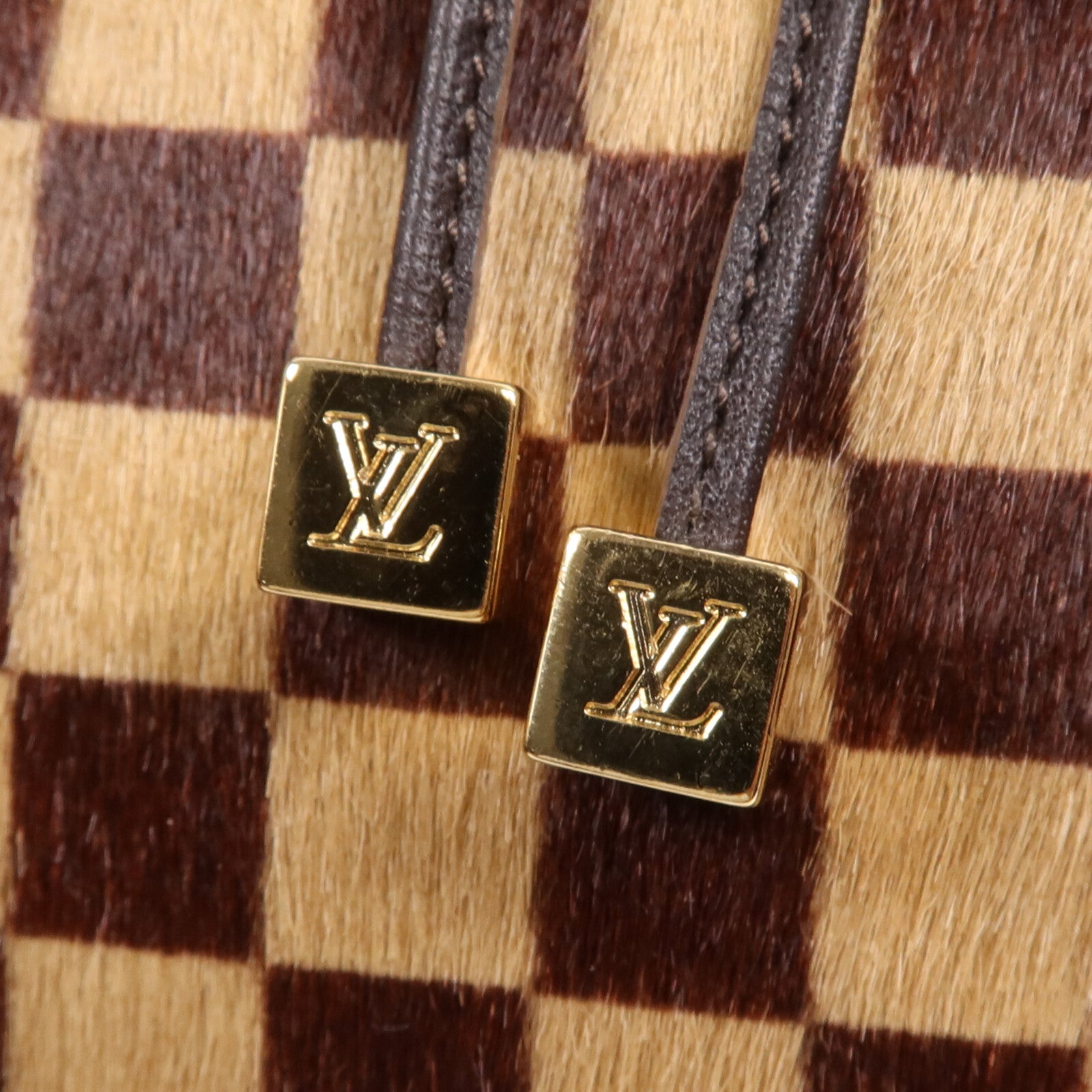 LOUIS VUITTON Damier Sauvage Lionne金扣手挽袋