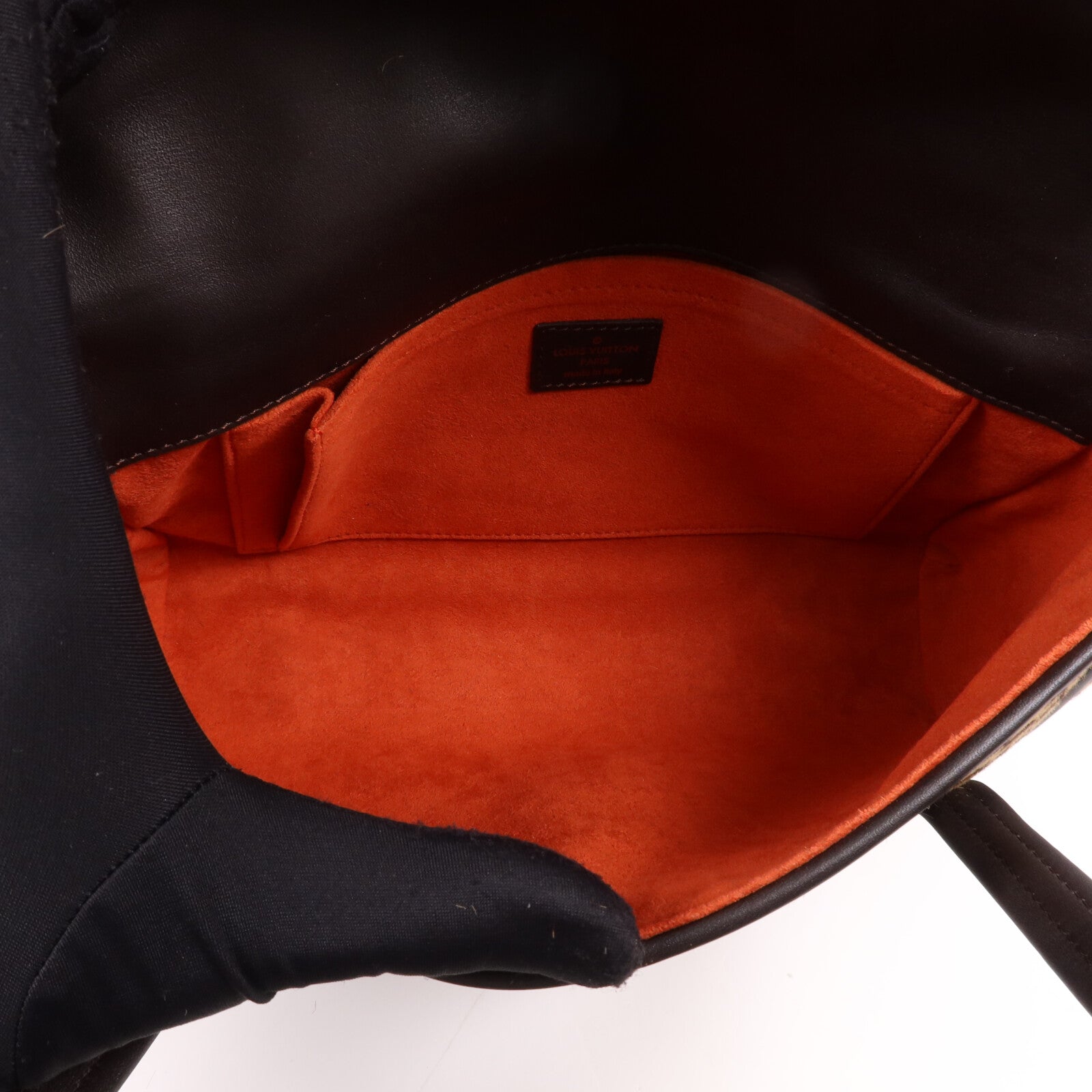 LOUIS VUITTON Damier Sauvage Lionne金扣手挽袋