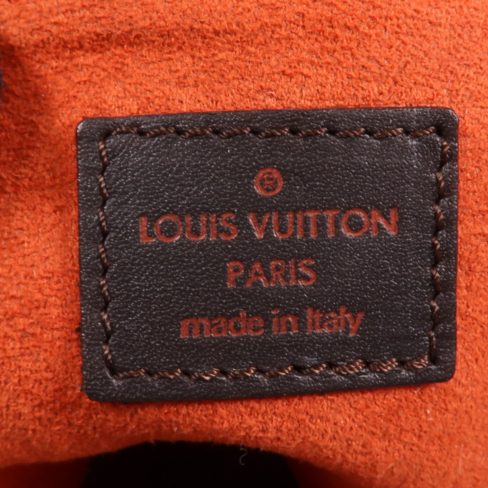 LOUIS VUITTON Damier Sauvage Lionne金扣手挽袋