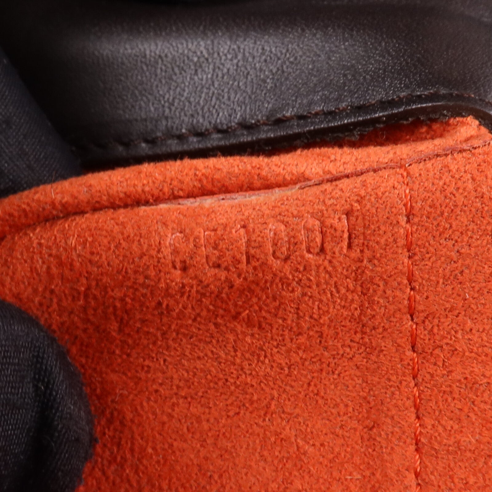 LOUIS VUITTON Damier Sauvage Lionne金扣手挽袋