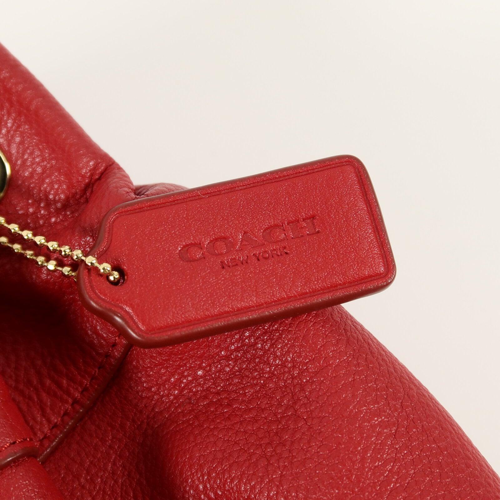 COACH 牛皮皮革Backpack背包