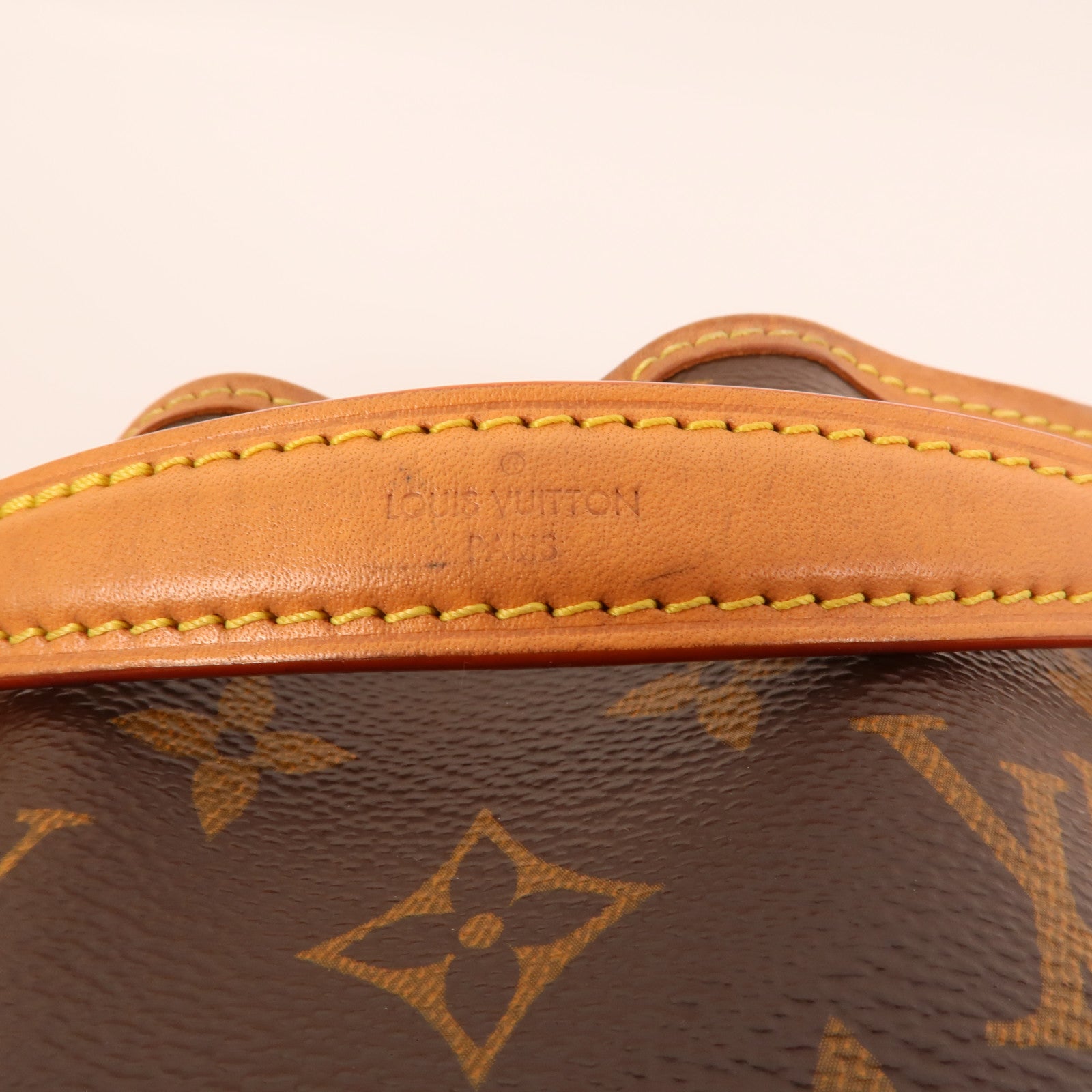 LOUIS VUITTON Monogram Nano Noe金扣手挽肩背兩用袋
