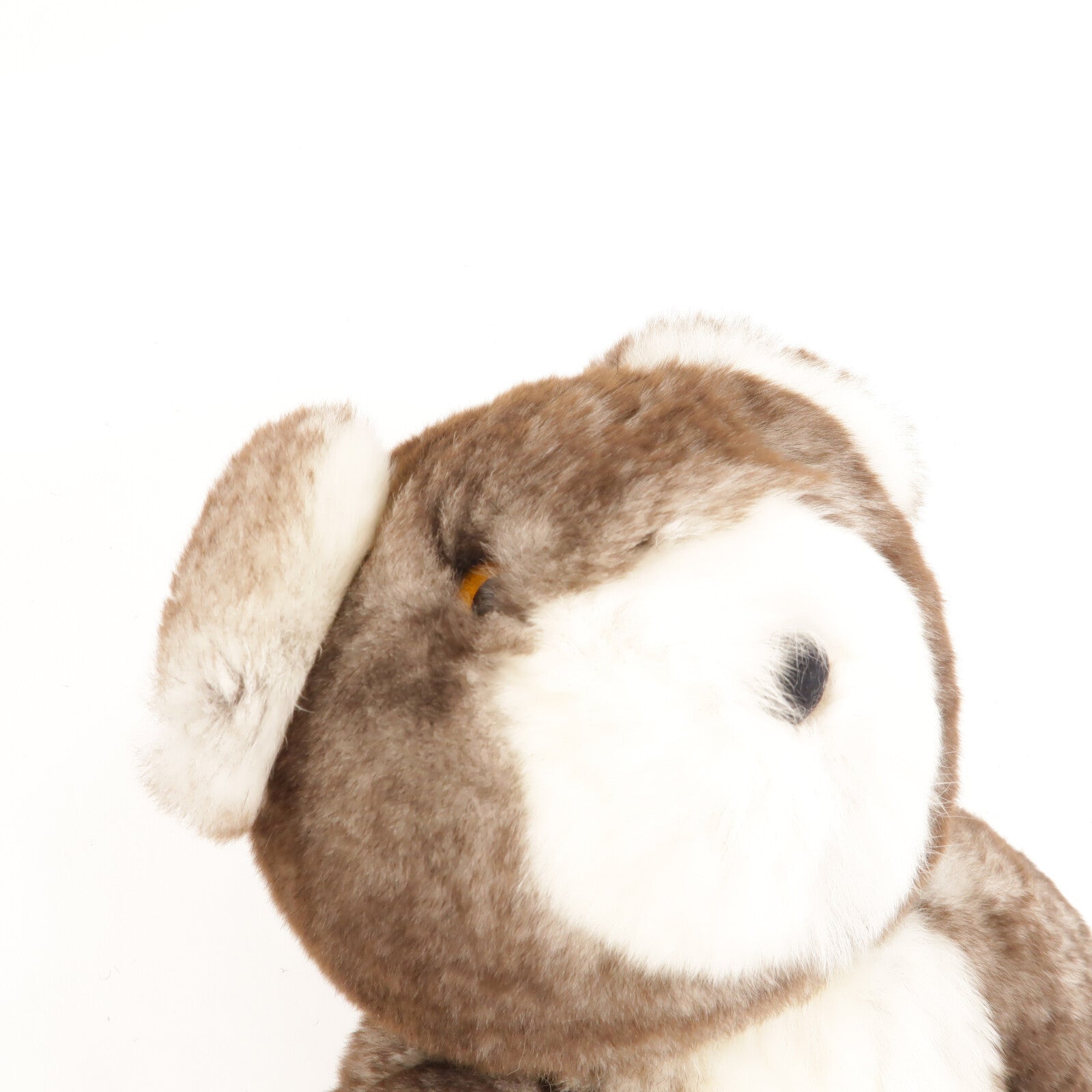 GUCCI 兔毛Teddy Bear玩偶