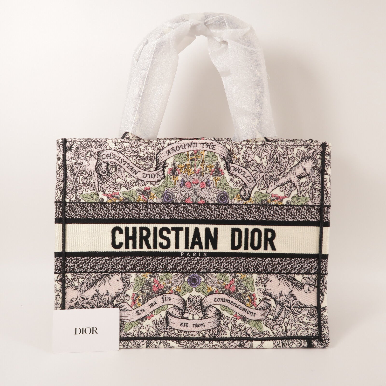 Dior 帆布Book Tote Medium手挽袋
