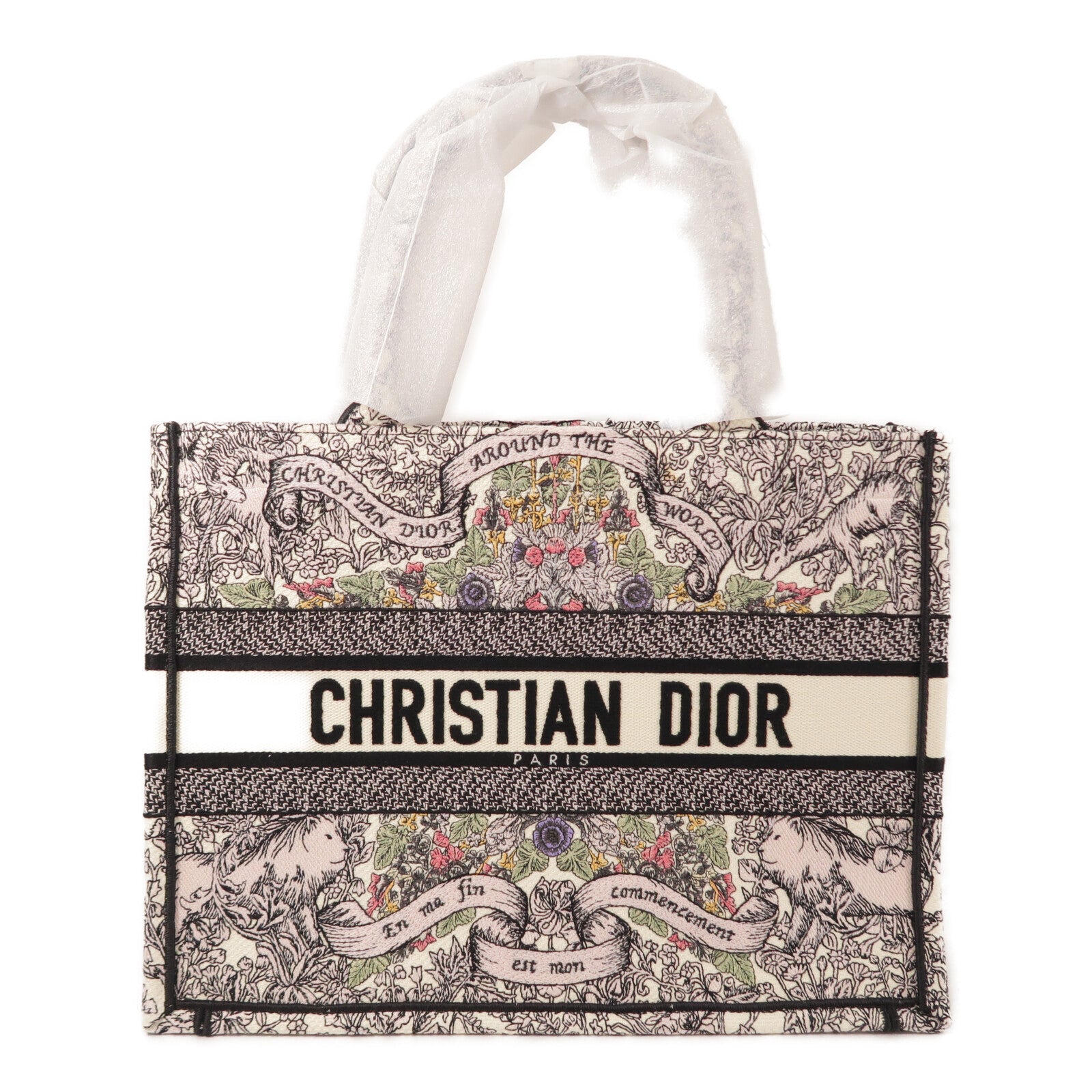 Dior 帆布Book Tote Medium手挽袋