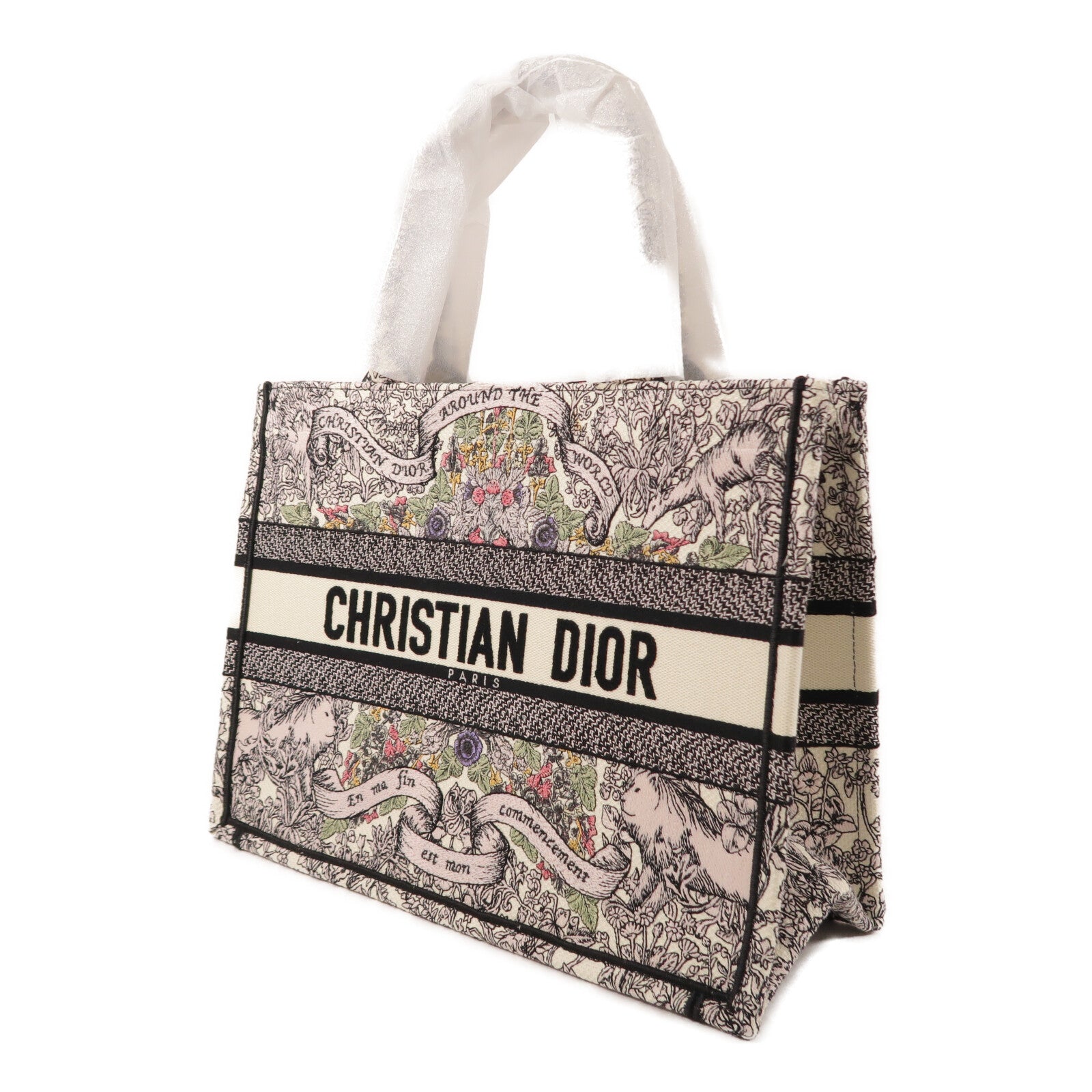 Dior 帆布Book Tote Medium手挽袋