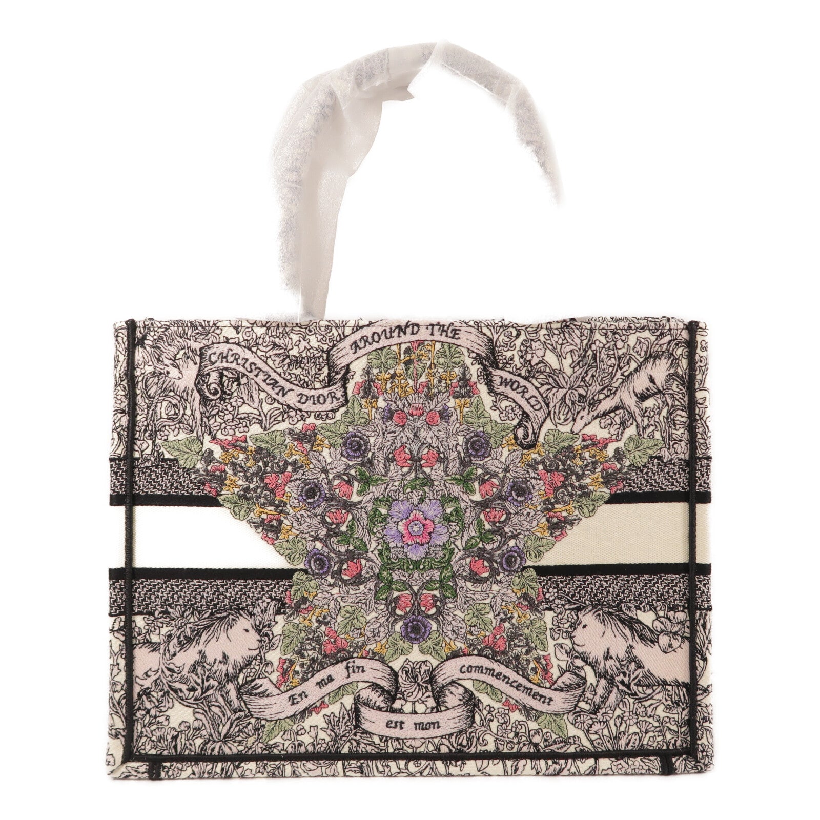 Dior 帆布Book Tote Medium手挽袋
