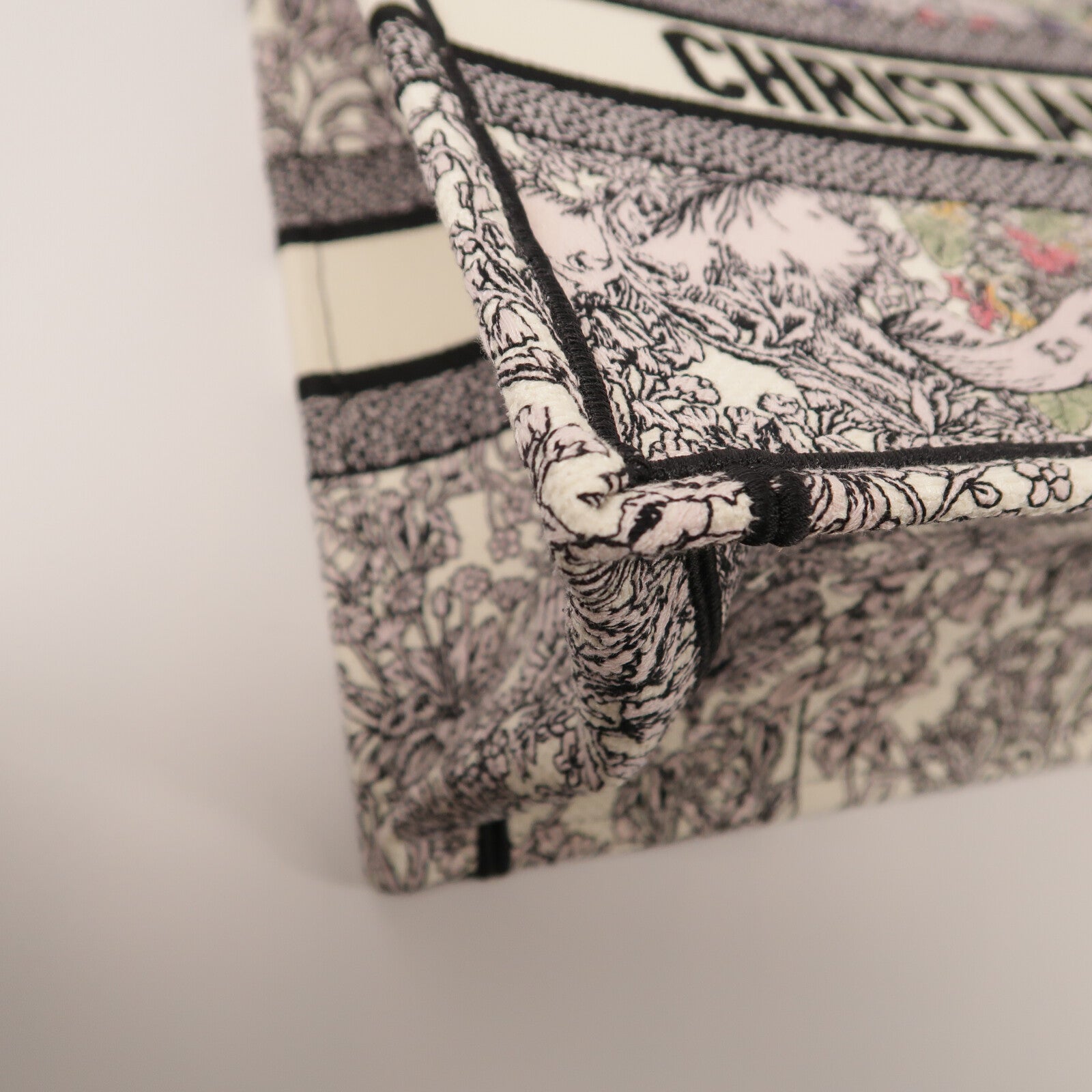 Dior 帆布Book Tote Medium手挽袋