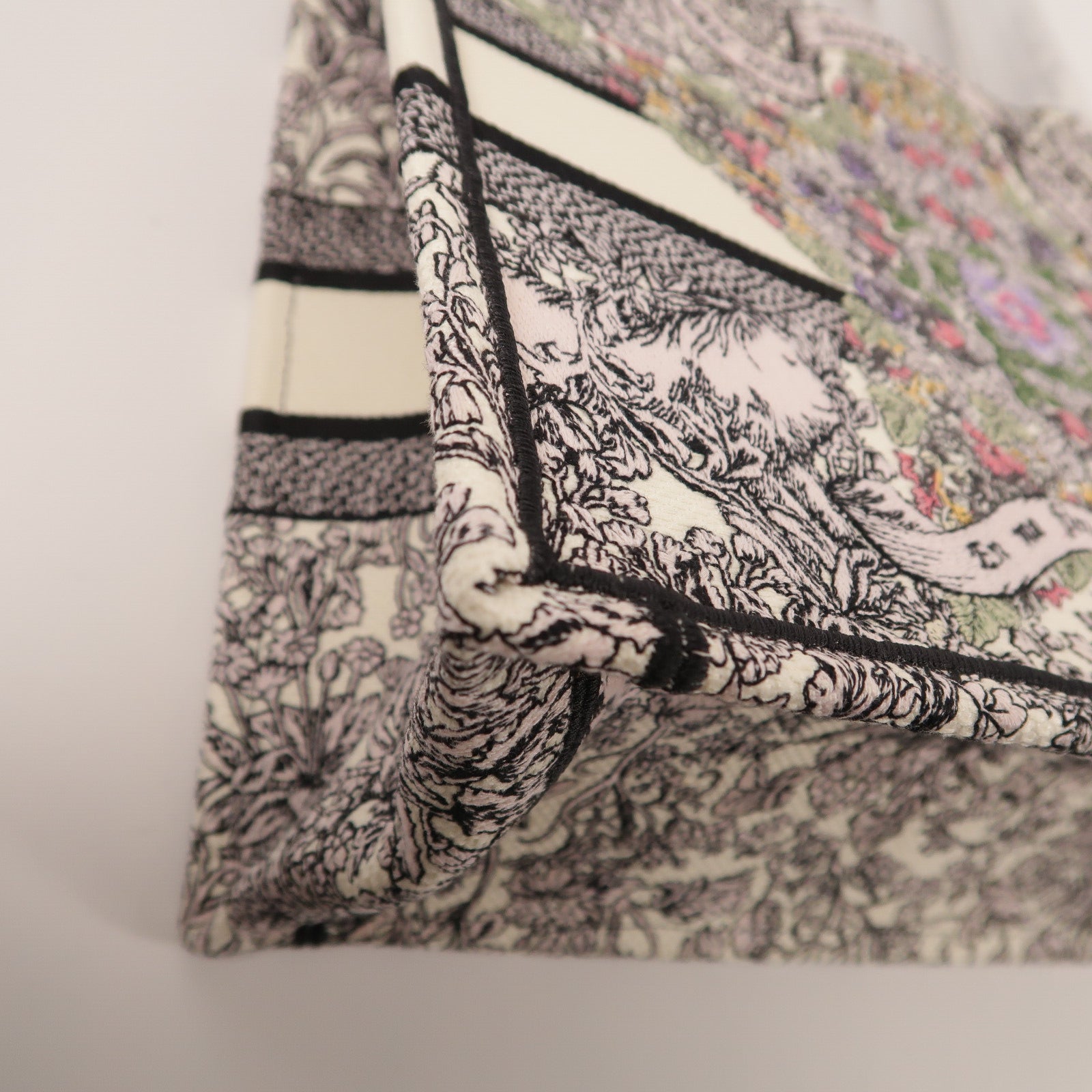 Dior 帆布Book Tote Medium手挽袋