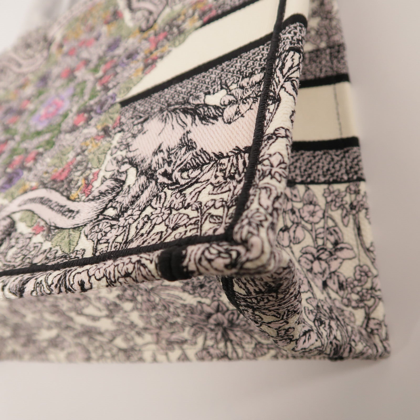 Dior 帆布Book Tote Medium手挽袋