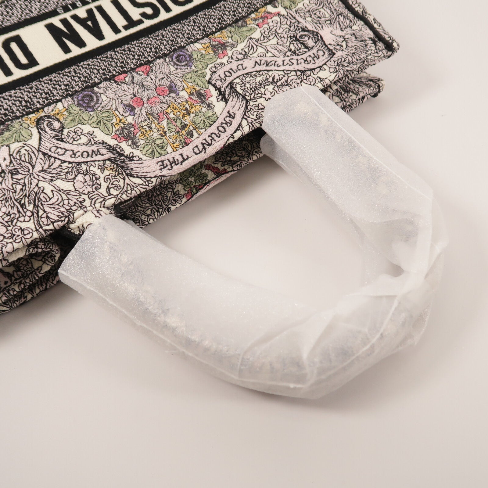 Dior 帆布Book Tote Medium手挽袋