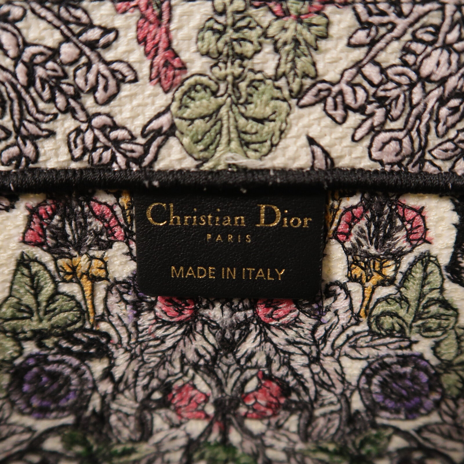 Dior 帆布Book Tote Medium手挽袋