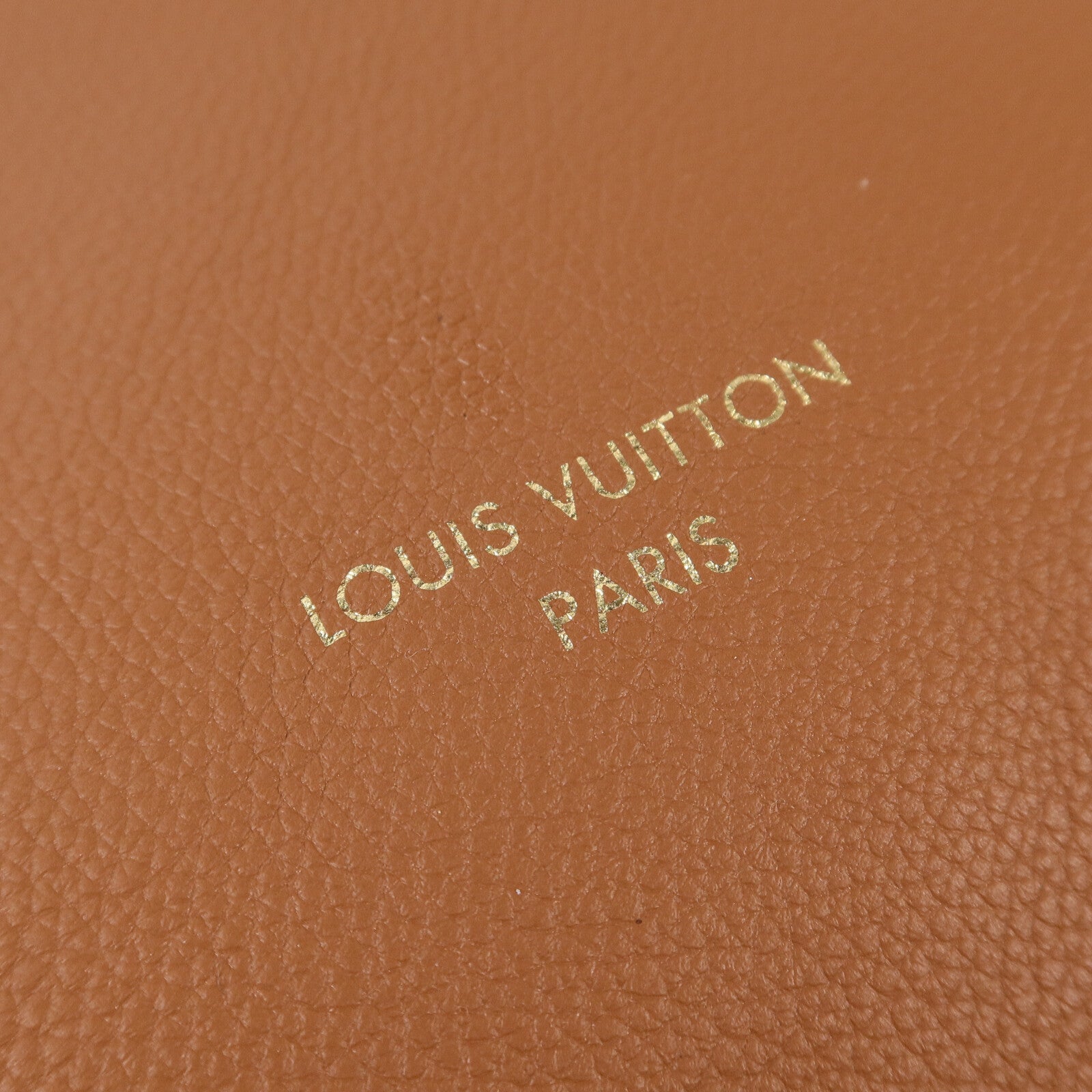 LOUIS VUITTON 牛皮皮革Low Key Hobo MM肩背袋