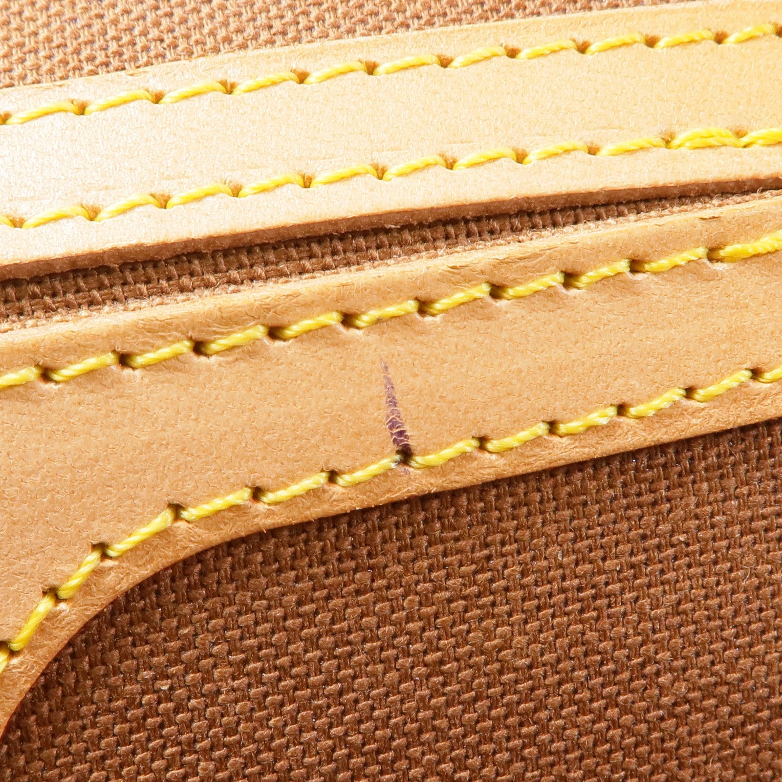 LOUIS VUITTON Monogram Ellipse Sac A Dos Backpack金扣背包棕色