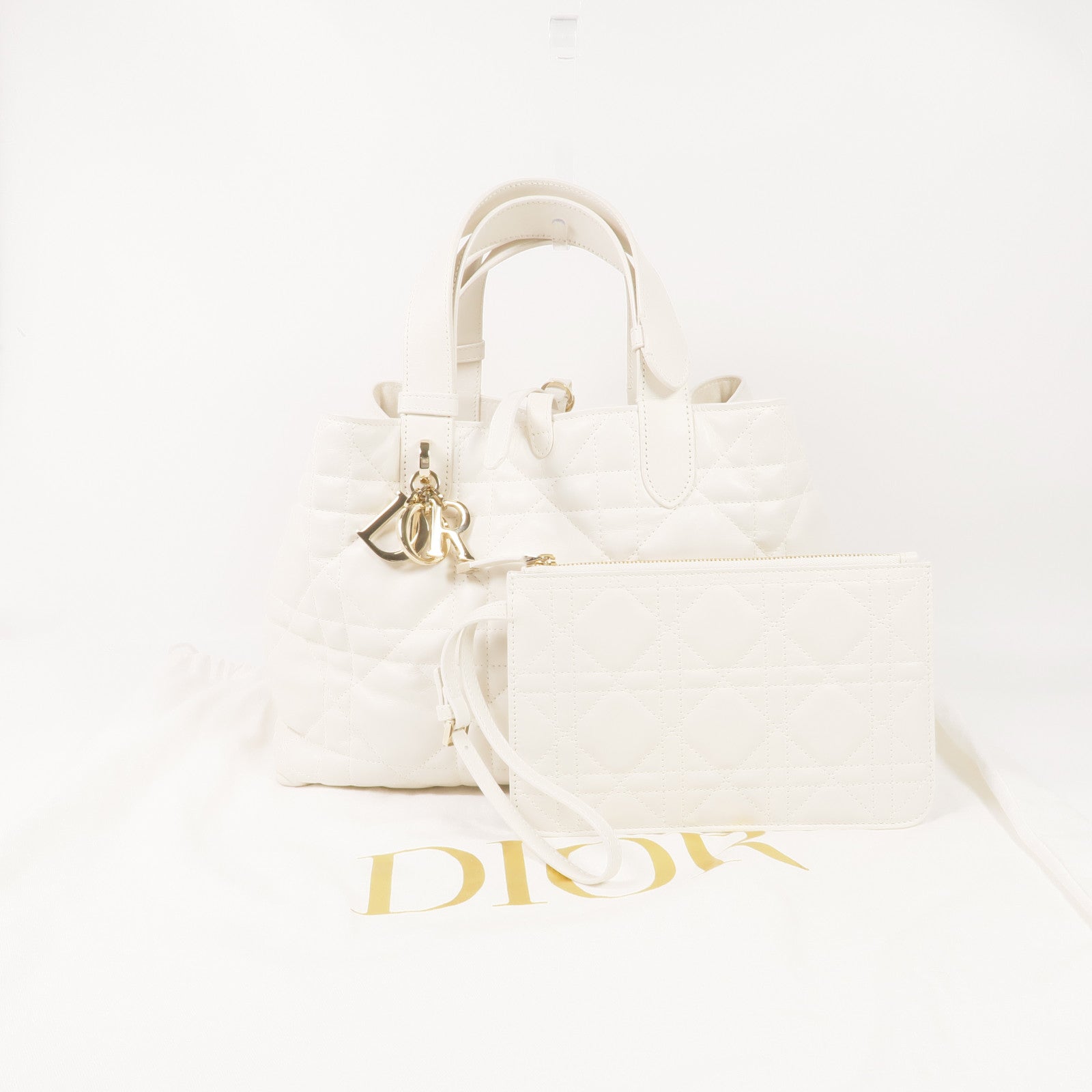 Dior 羊皮皮革Toujours金扣手挽袋