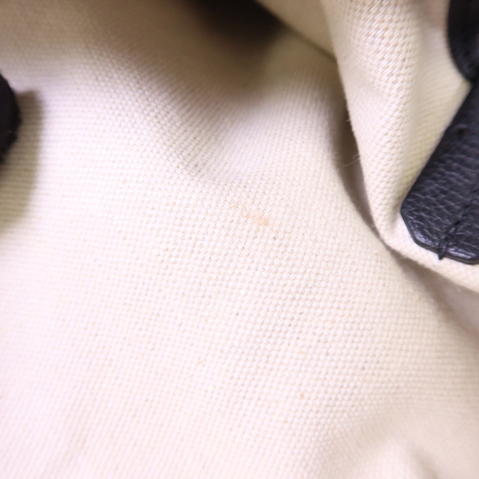 GOYARD 塗層帆布Saint Louis PM銀扣手挽袋