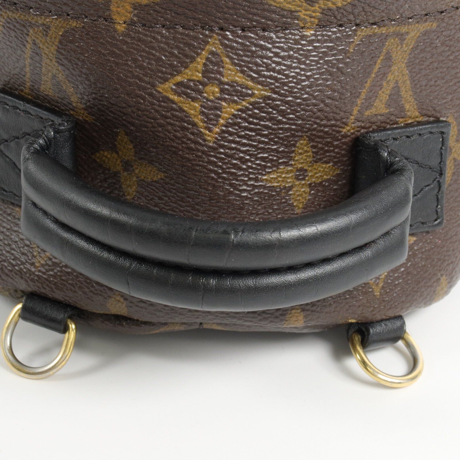 LOUIS VUITTON Monogram Palm Springs Mini背包