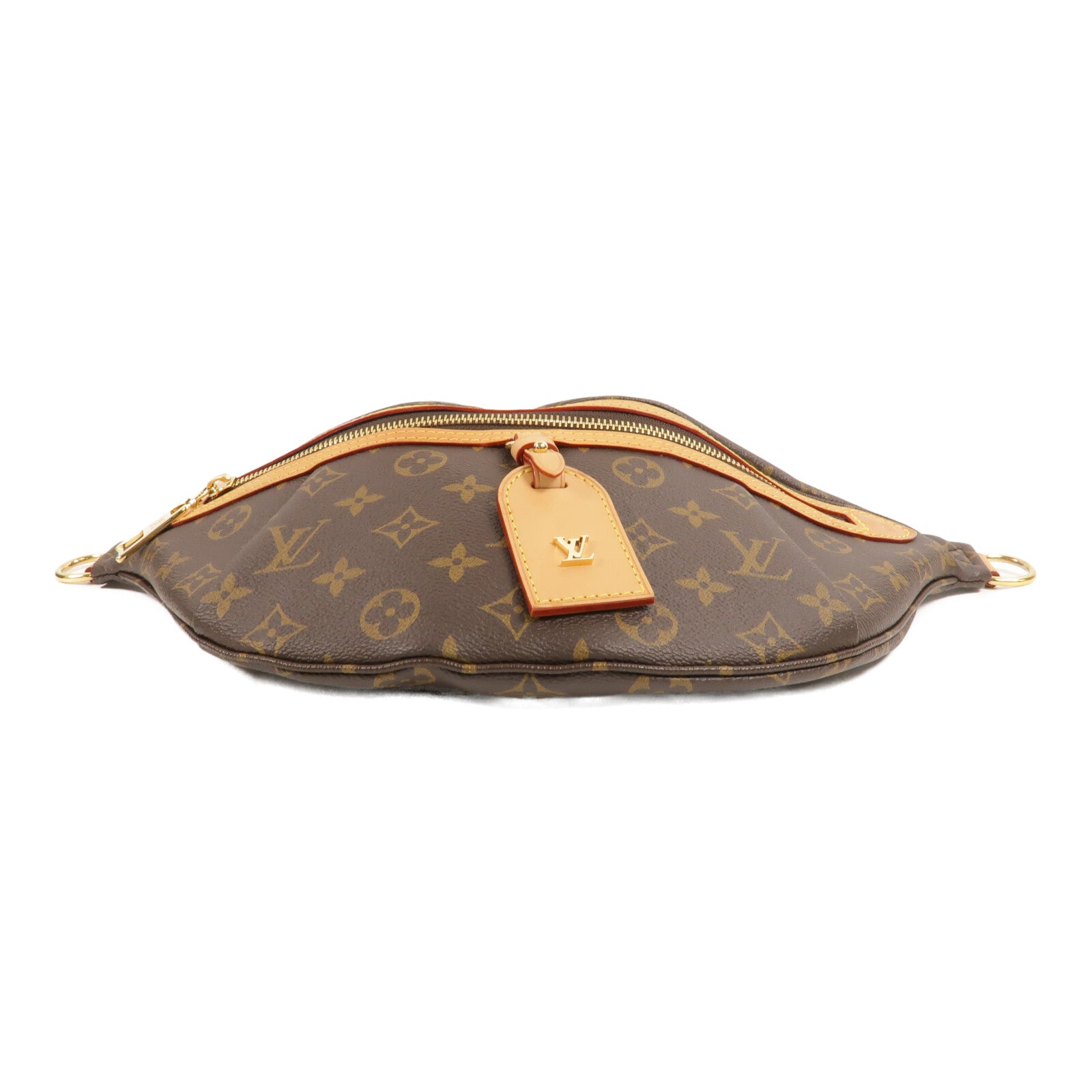 LOUIS VUITTON Monogram High Rise腰包
