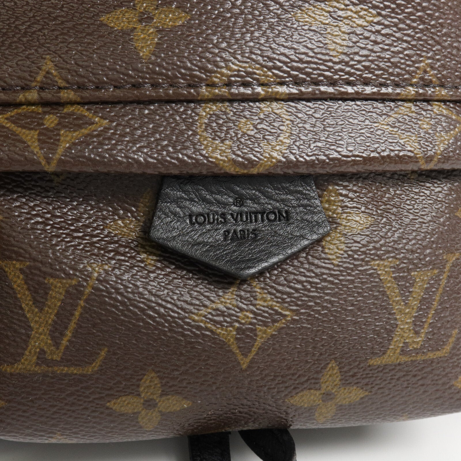 LOUIS VUITTON Monogram Palm Springs Mini背包