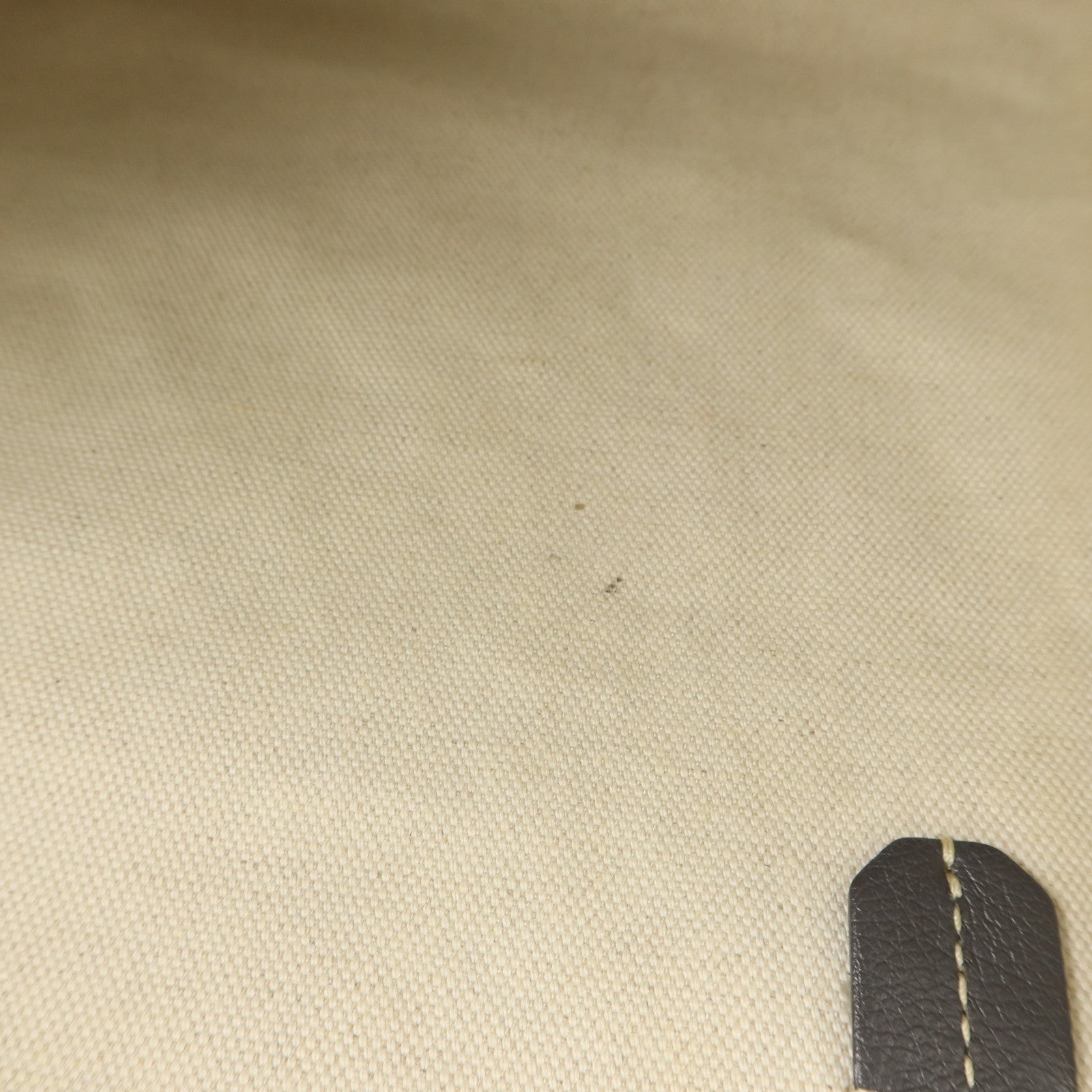 GOYARD 塗層帆布Saint Louis PM肩背袋