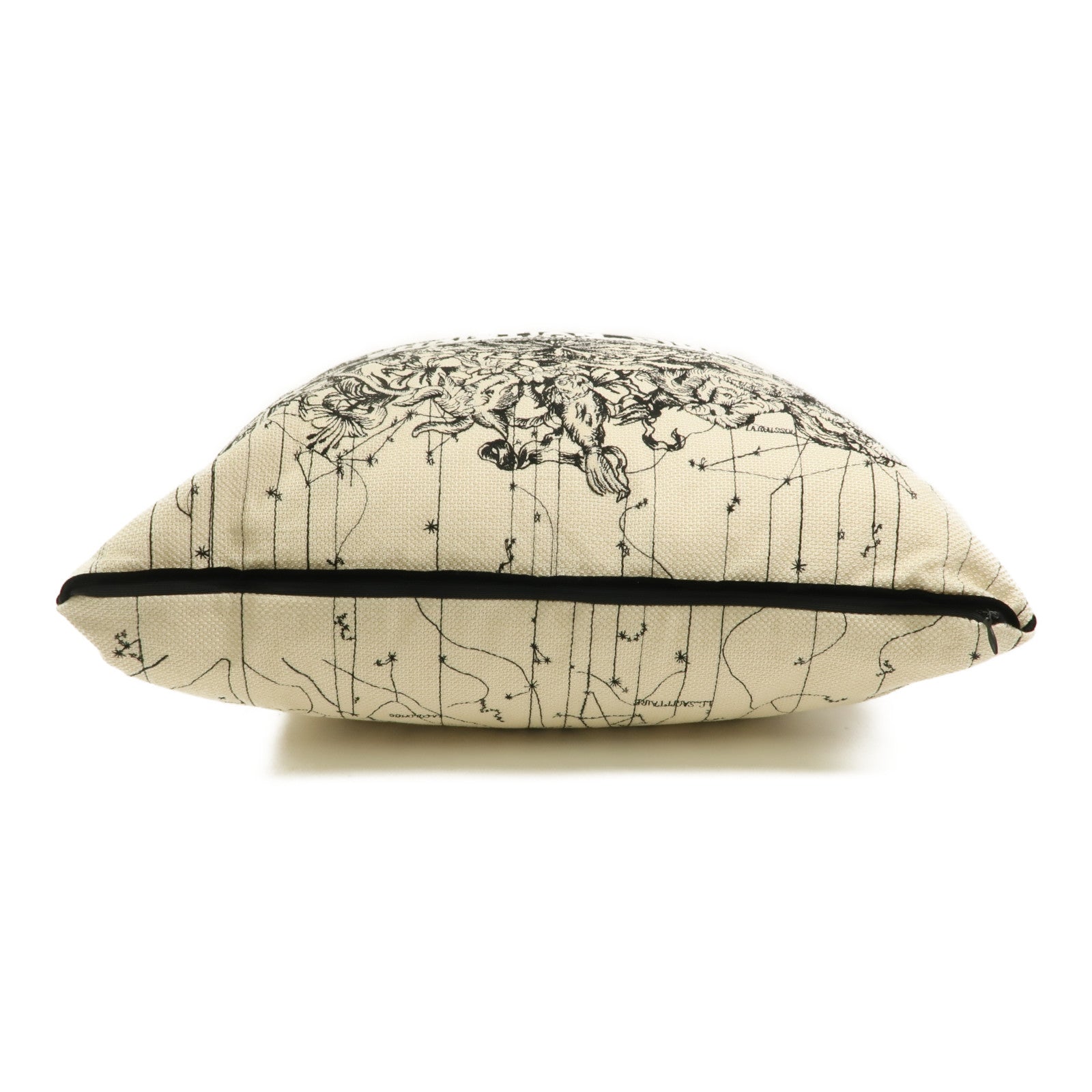 Dior 帆布Pillow靠枕