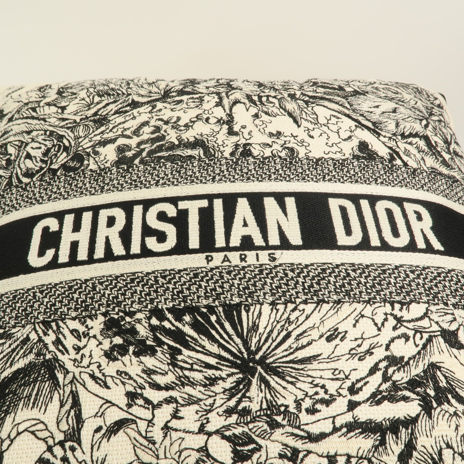 Dior 帆布Pillow靠枕