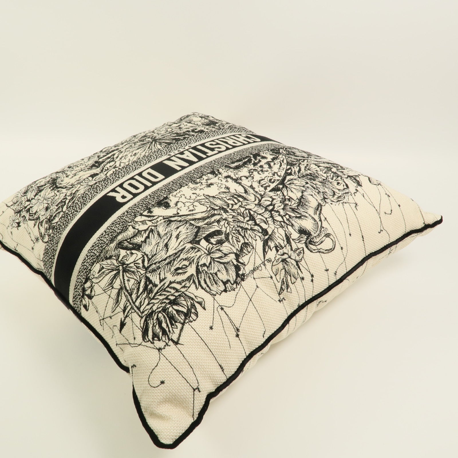 Dior 帆布Pillow靠枕