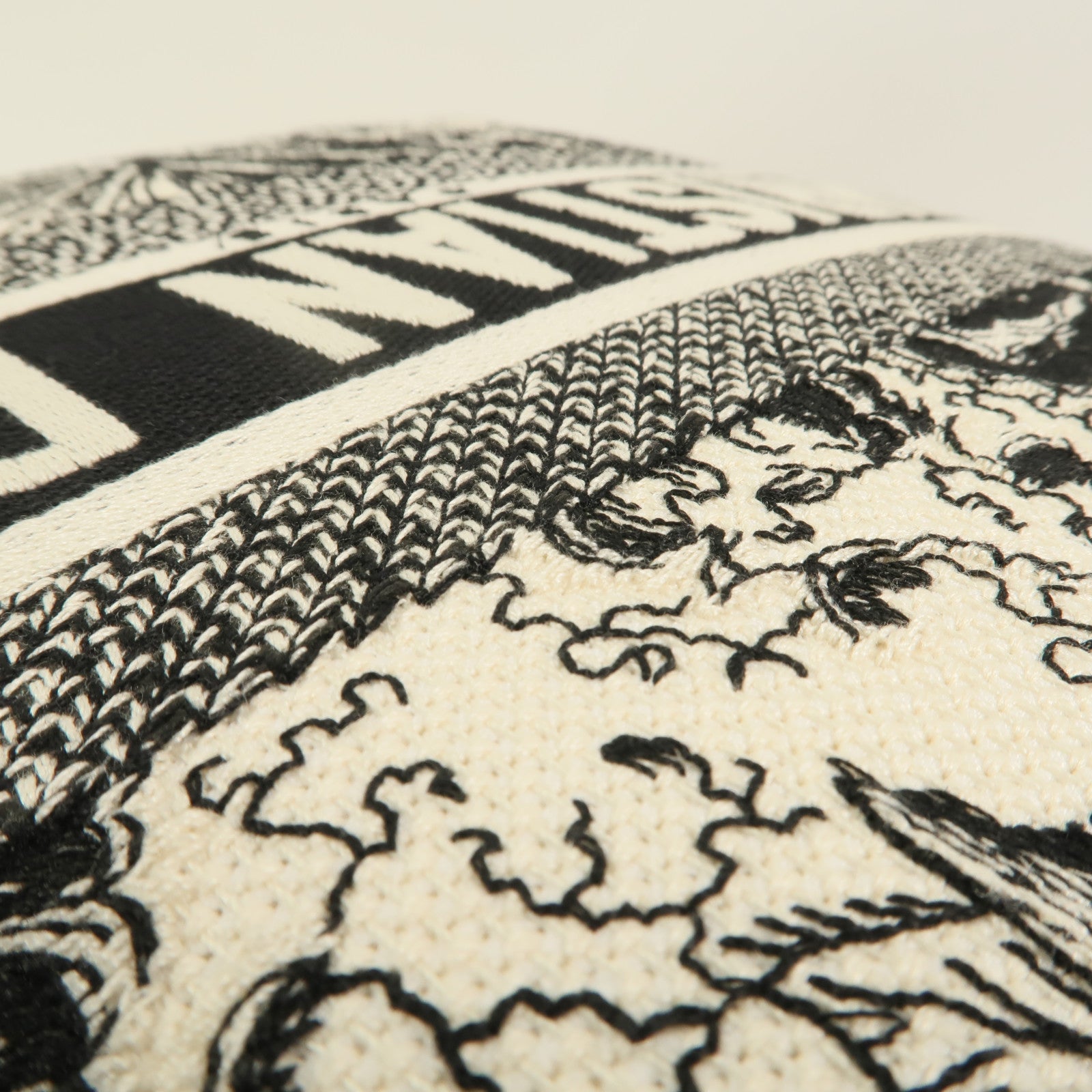 Dior 帆布Pillow靠枕
