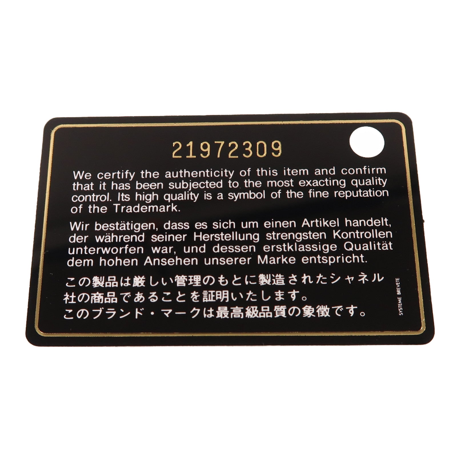 CHANEL 皮革WOC Wallet On Chain銀扣鏈帶肩背袋