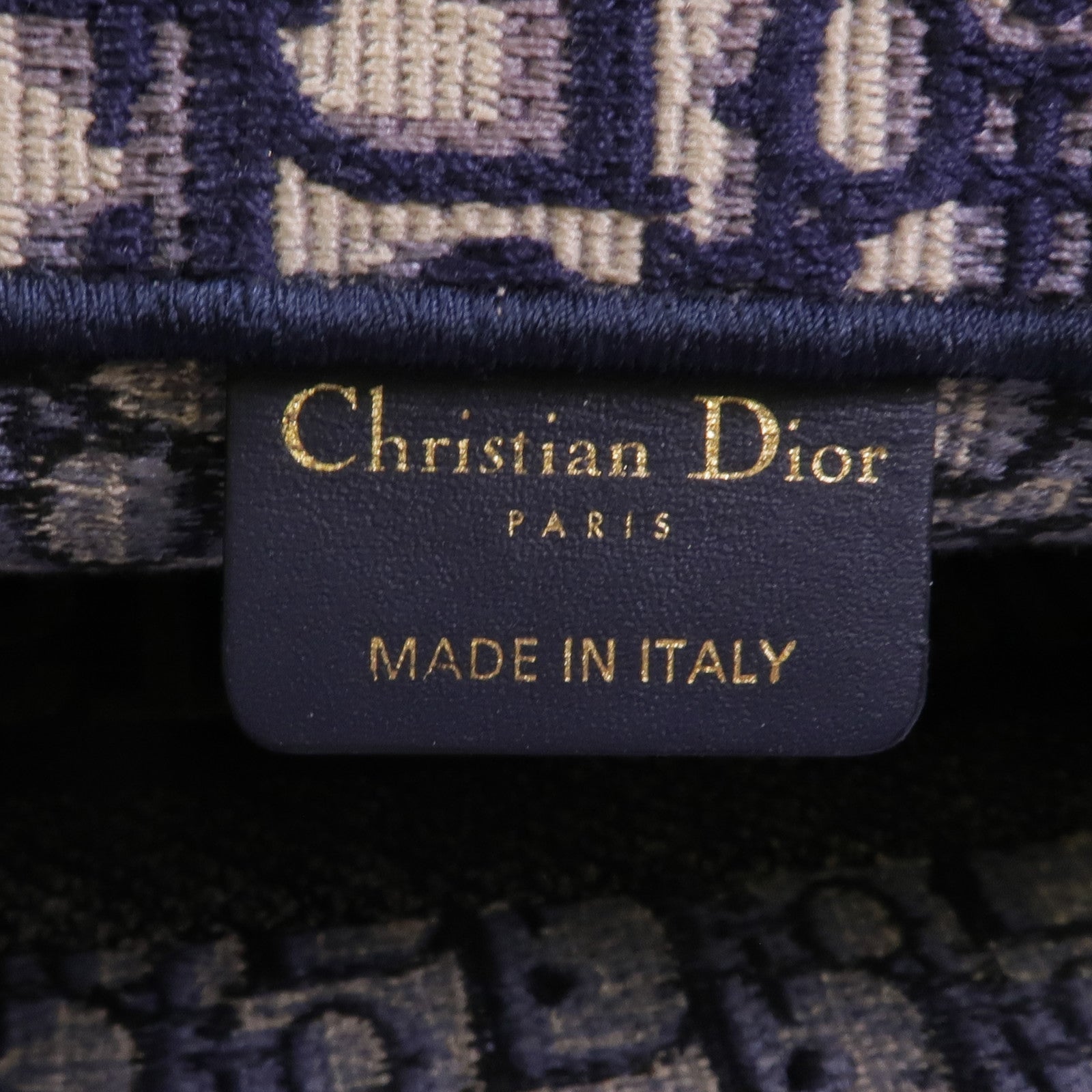 Dior 帆布Book Tote Medium手挽袋