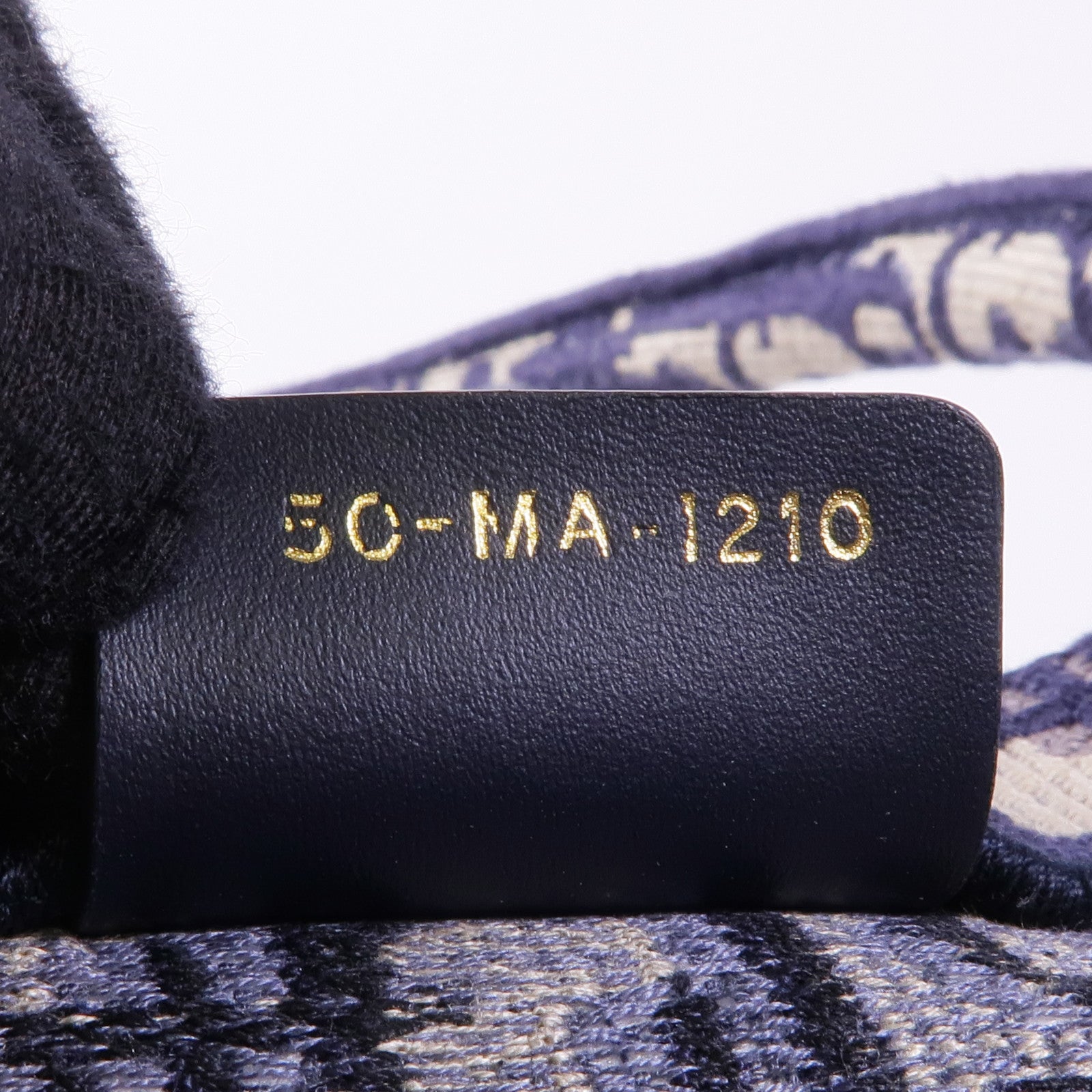 Dior 帆布Book Tote Medium手挽袋