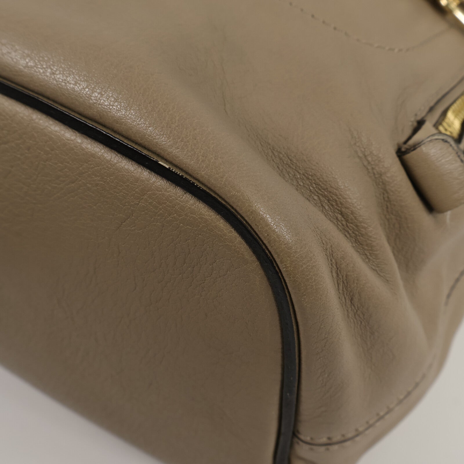 Chloe 牛皮/麂皮皮革Faye Backpack背包