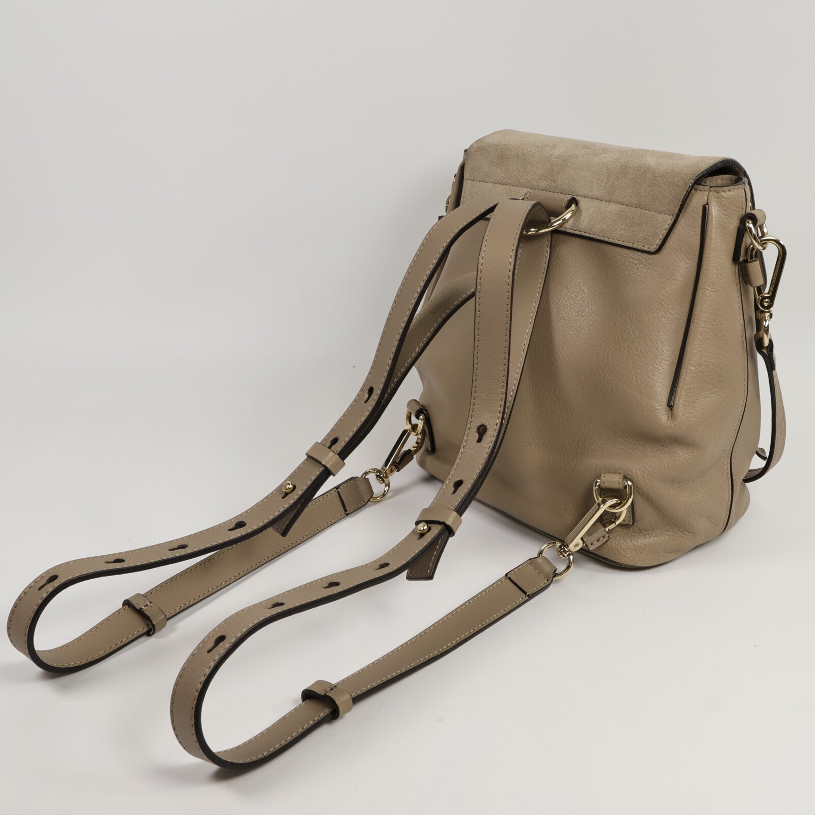 Chloe 牛皮/麂皮皮革Faye Backpack背包