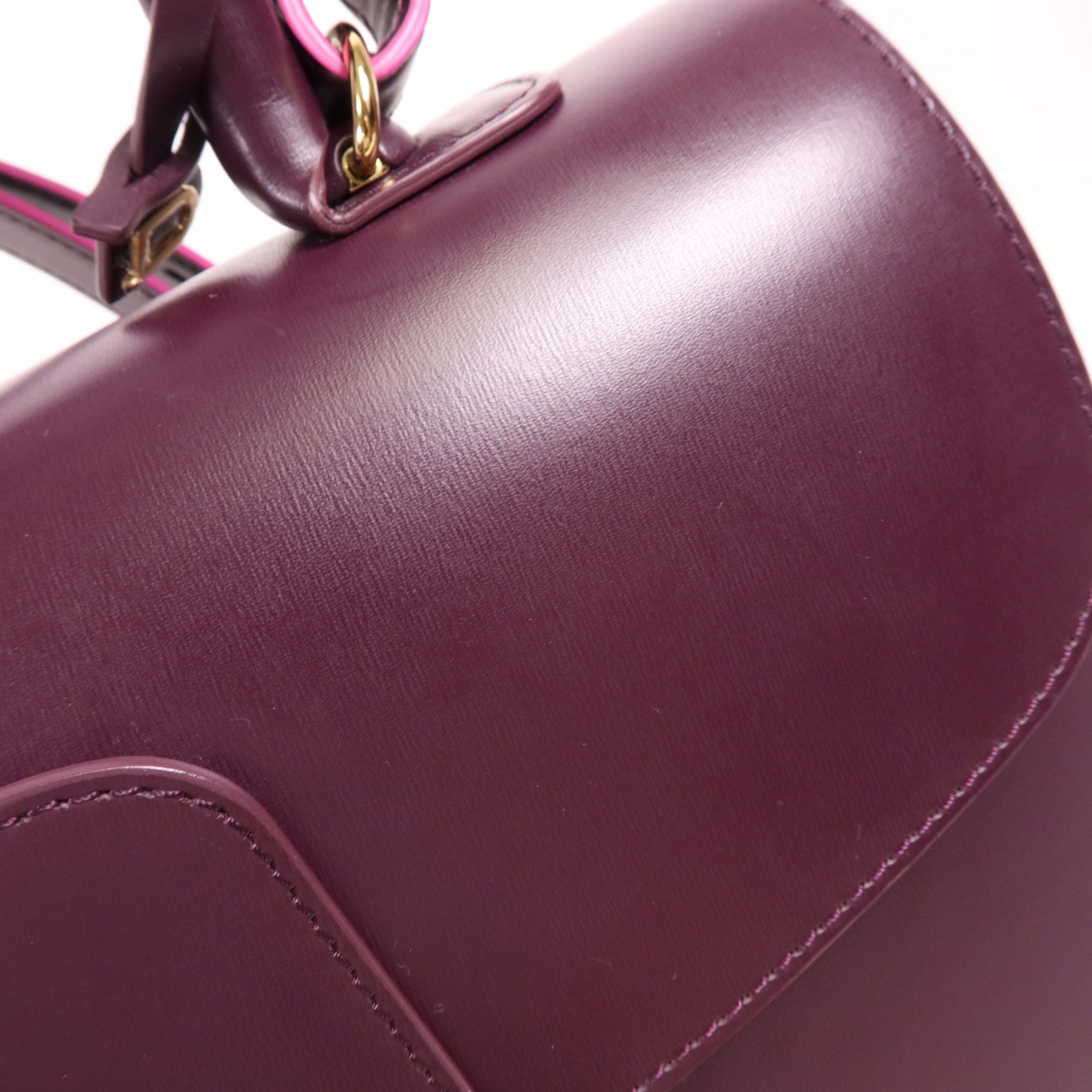 Delvaux 牛皮皮革Brillant MM金扣手挽肩背兩用袋