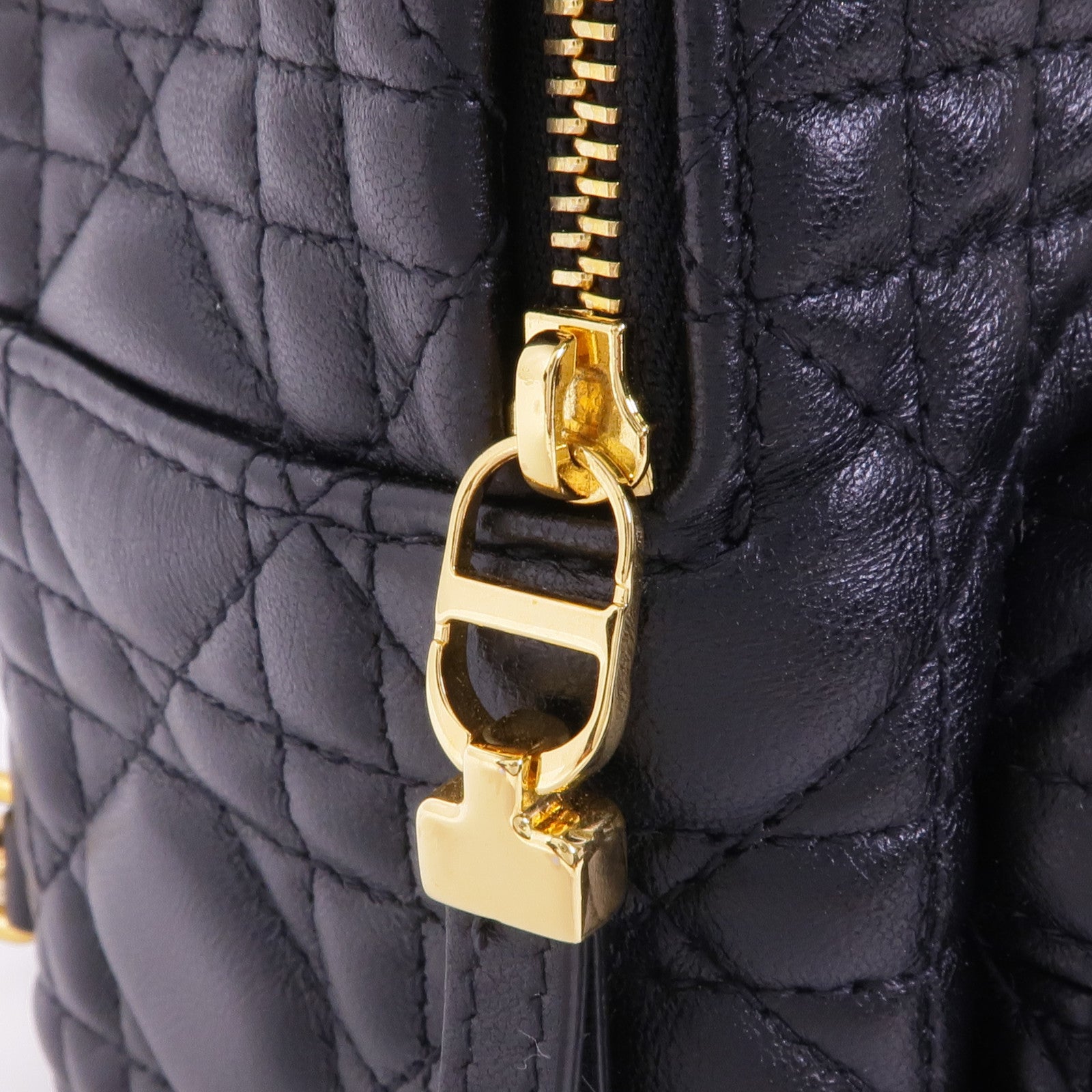 Dior 羊皮皮革Backpack金扣背包