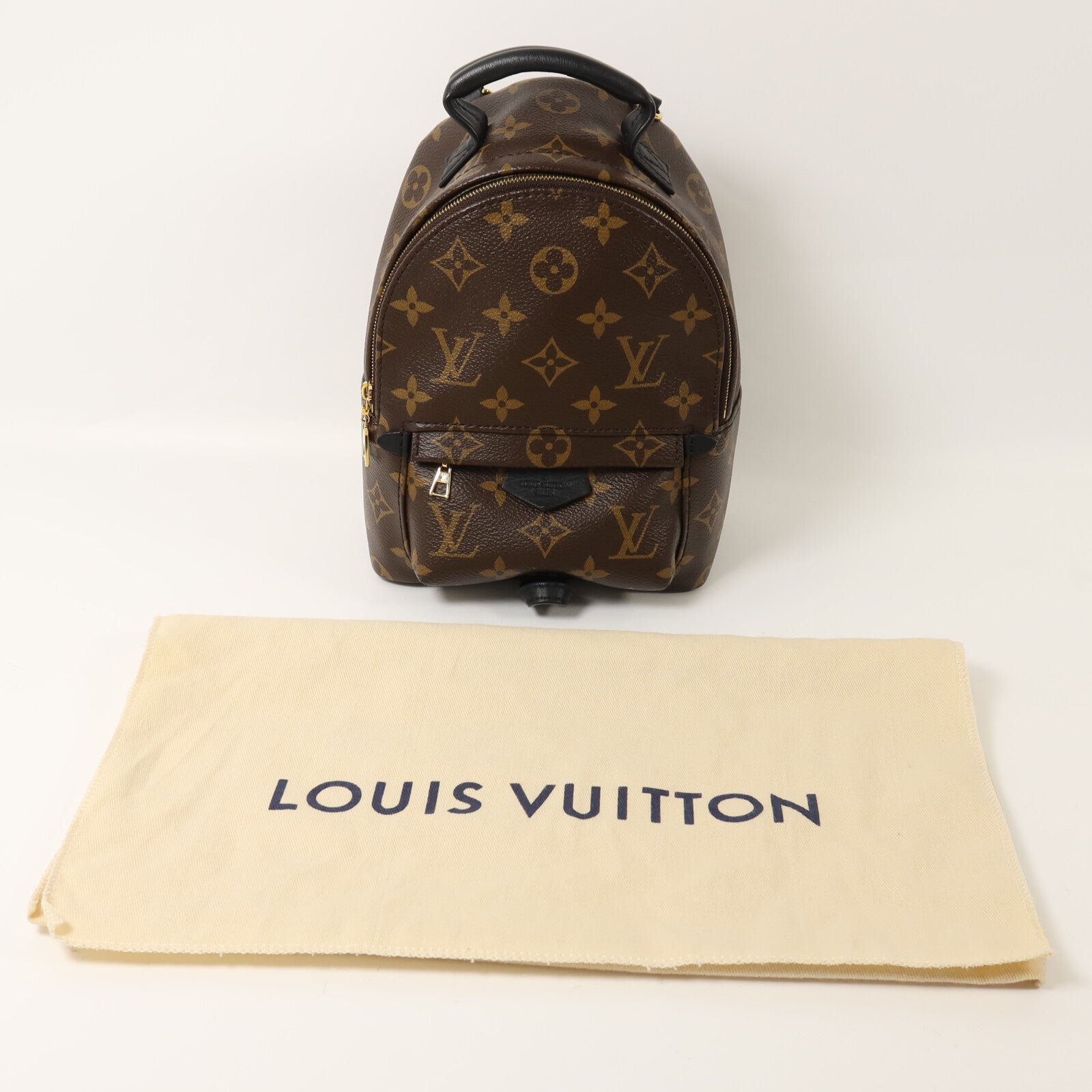 LOUIS VUITTON Monogram Palm Springs Mini背包