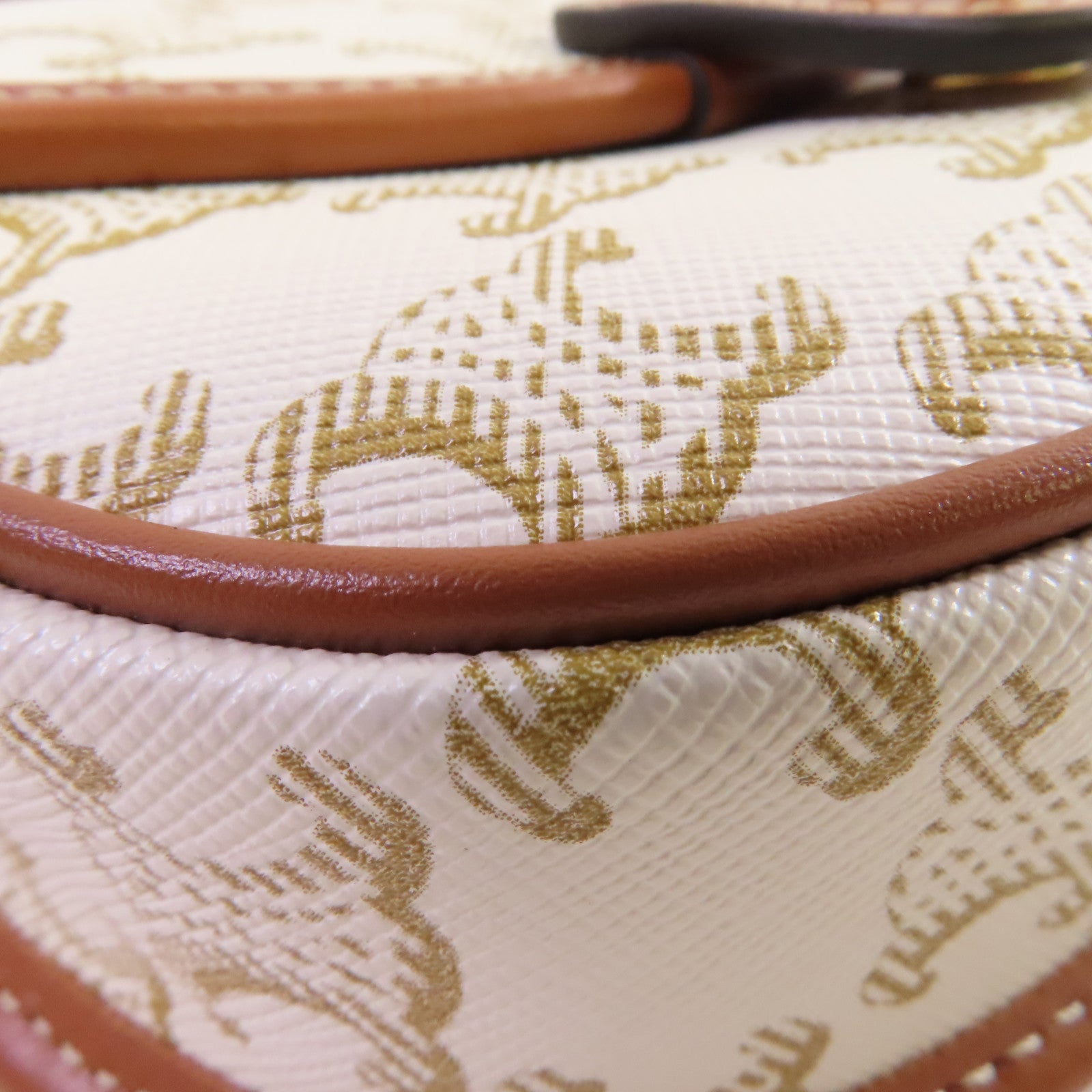 CELINE Triomphe帆布/牛皮皮革Mini Besace Shoulder Bag金扣肩背袋米白色