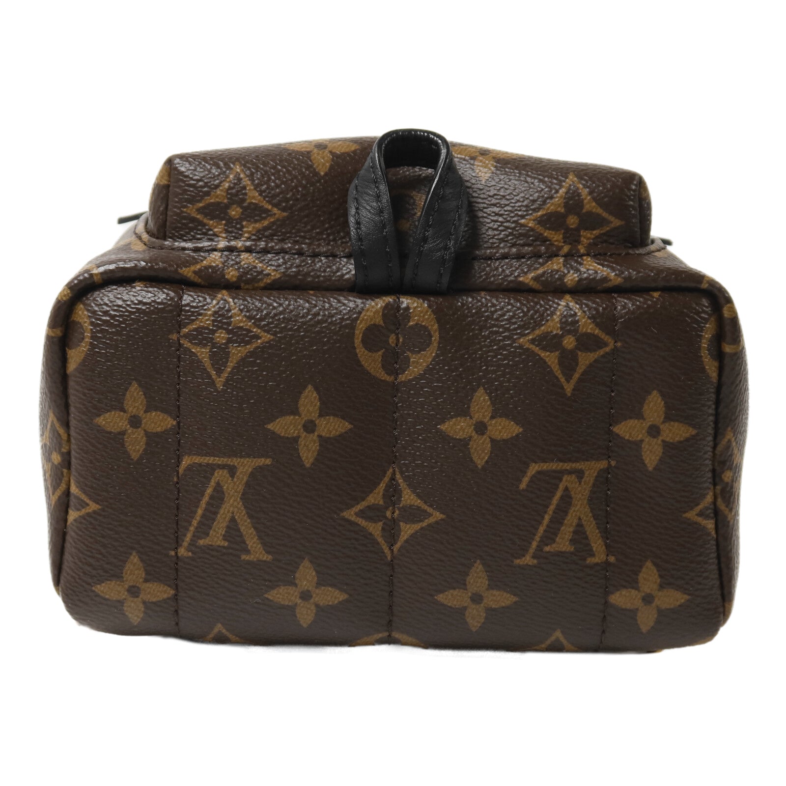 LOUIS VUITTON Monogram Palm Springs Mini背包