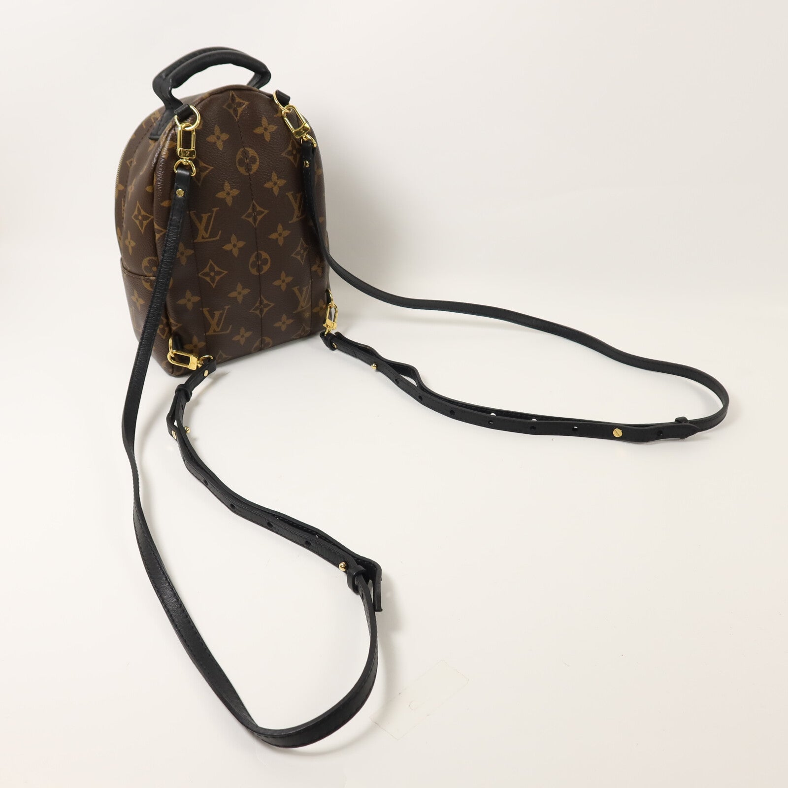 LOUIS VUITTON Monogram Palm Springs Mini背包