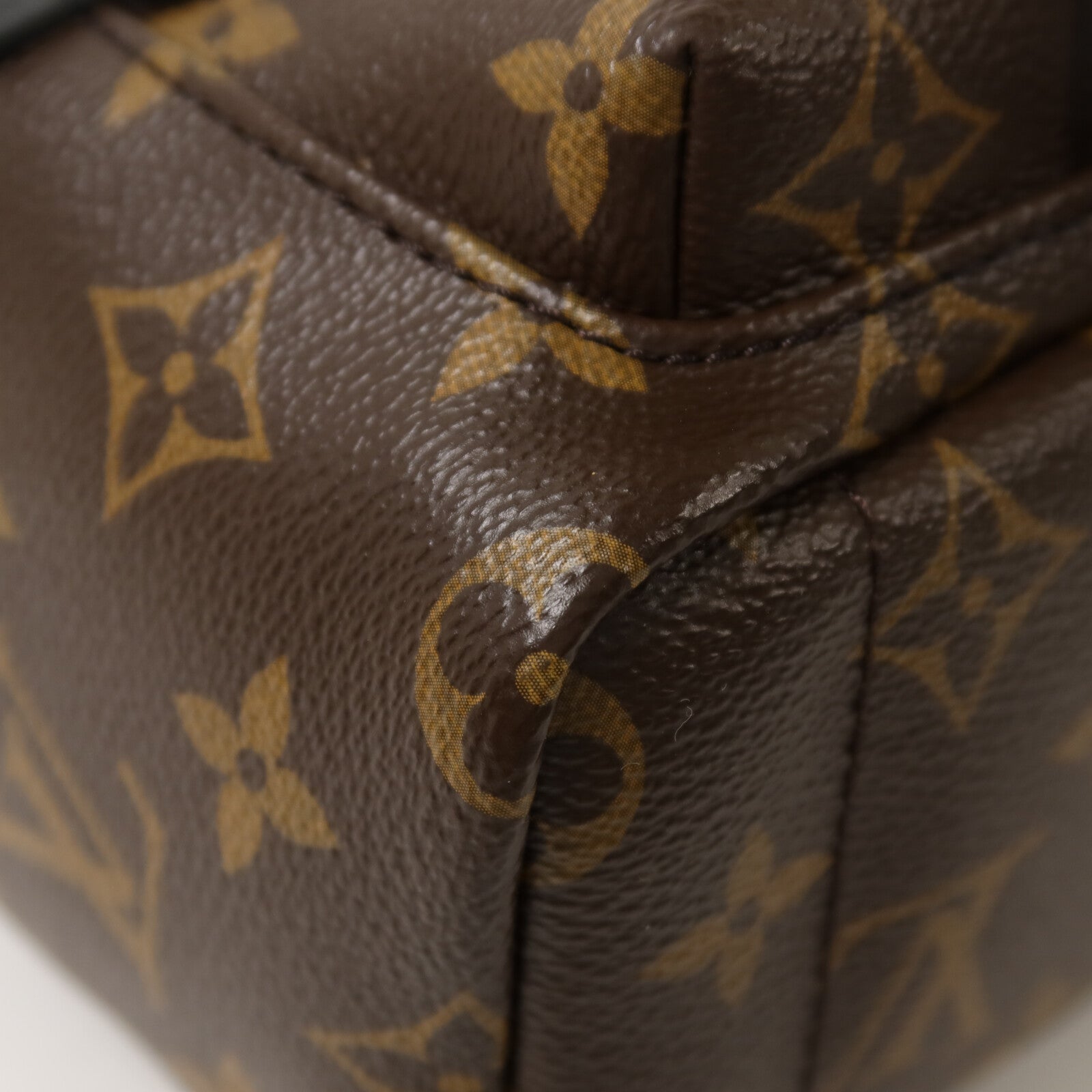 LOUIS VUITTON Monogram Palm Springs Mini背包