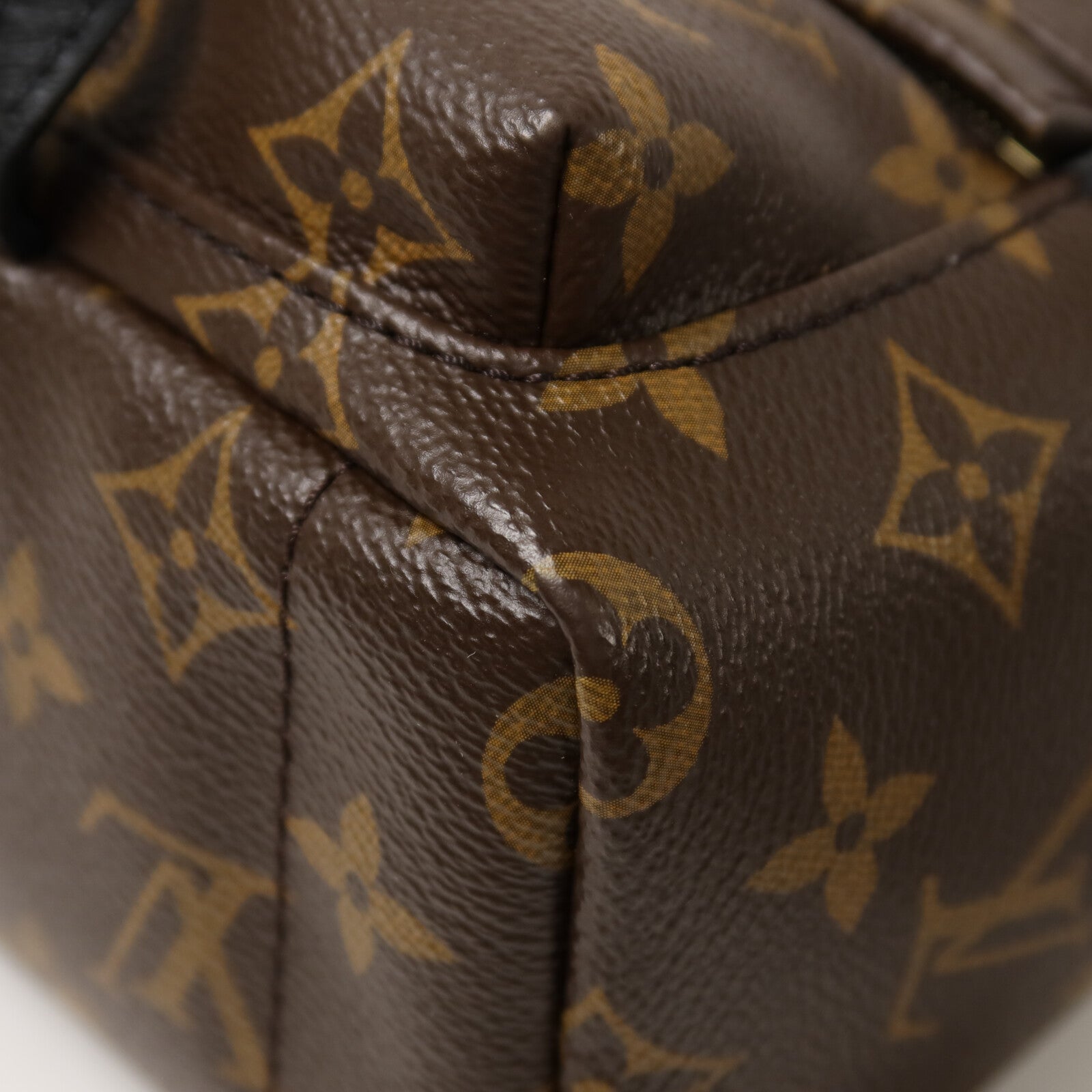 LOUIS VUITTON Monogram Palm Springs Mini背包