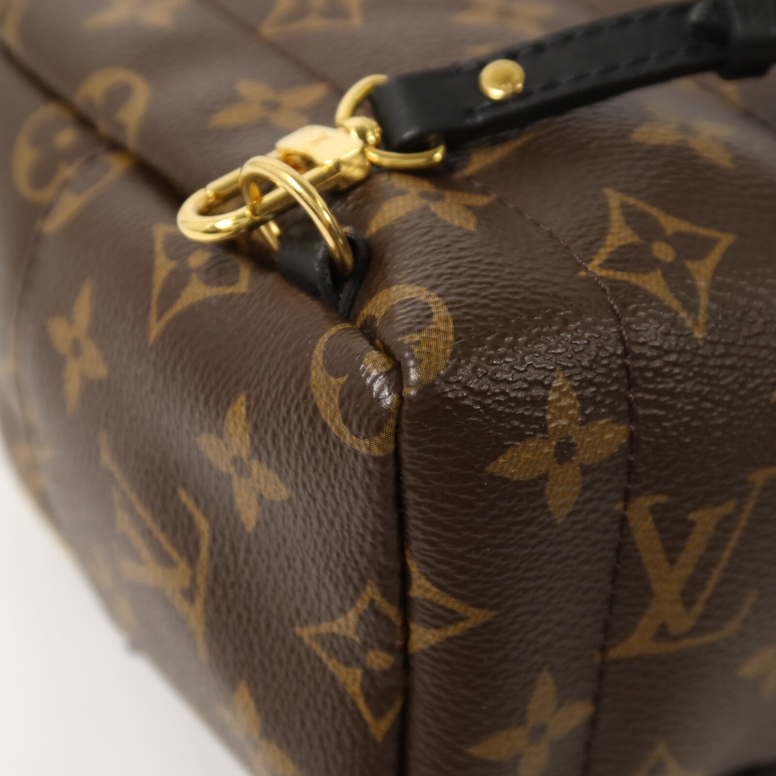 LOUIS VUITTON Monogram Palm Springs Mini背包