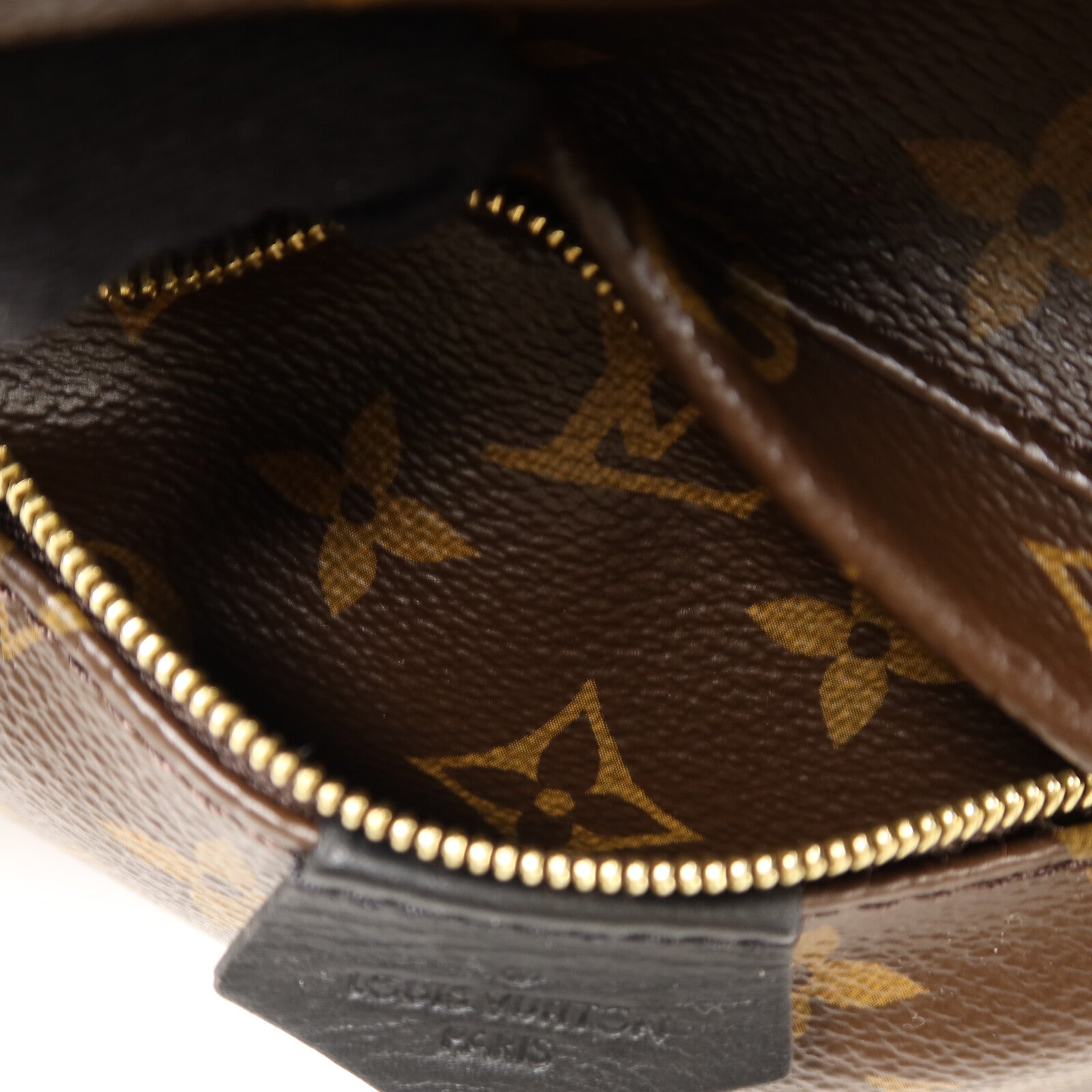 LOUIS VUITTON Monogram Palm Springs Mini背包