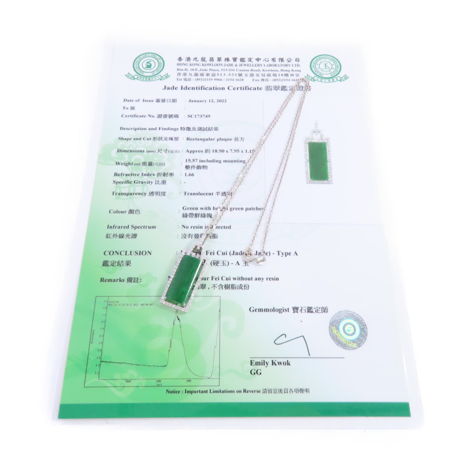 JEWELRY 18K白金/翡翠/鑽石Jade Diamond Necklace項鏈