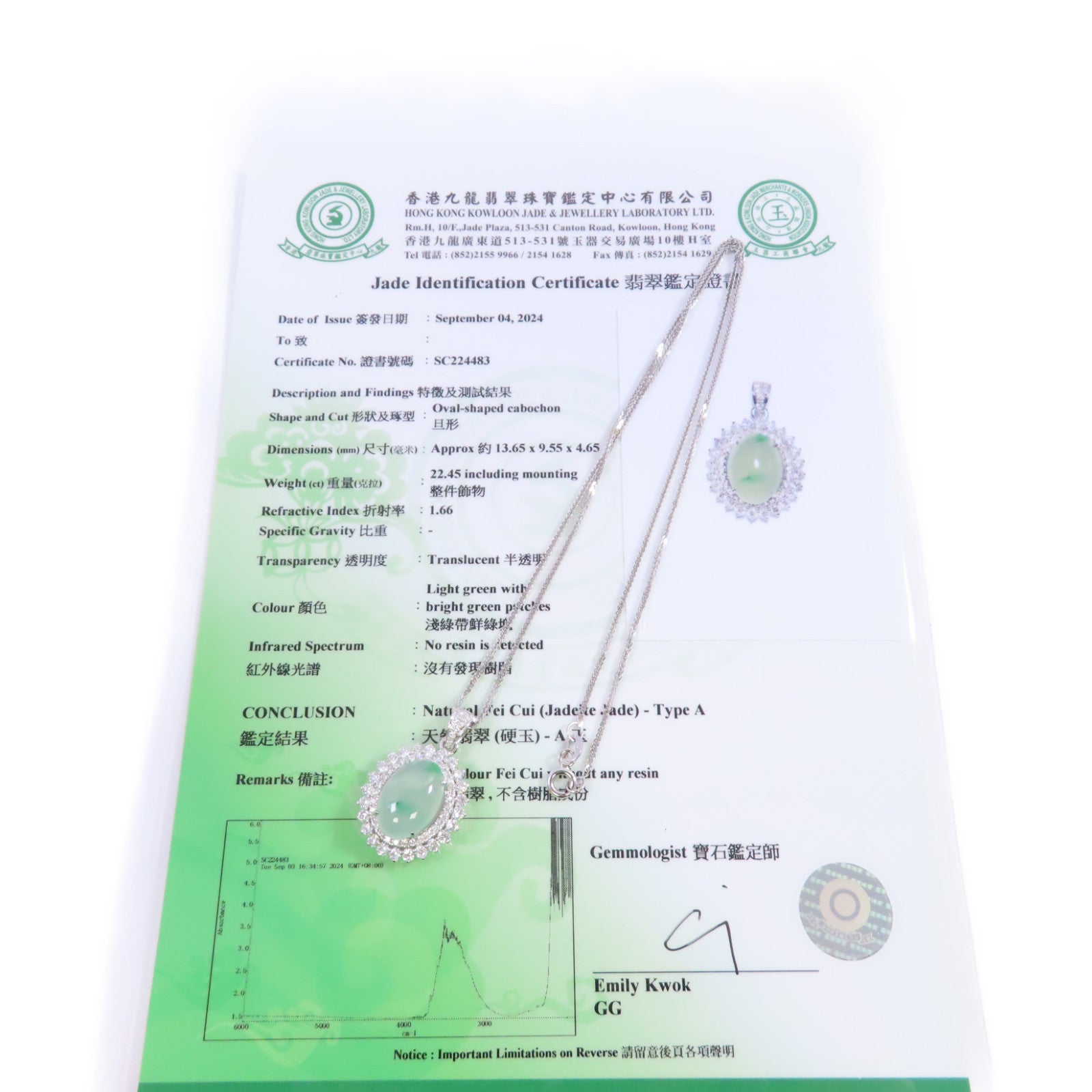 JEWELRY 18K白金/翡翠/鑽石Jade Diamond Necklace項鏈