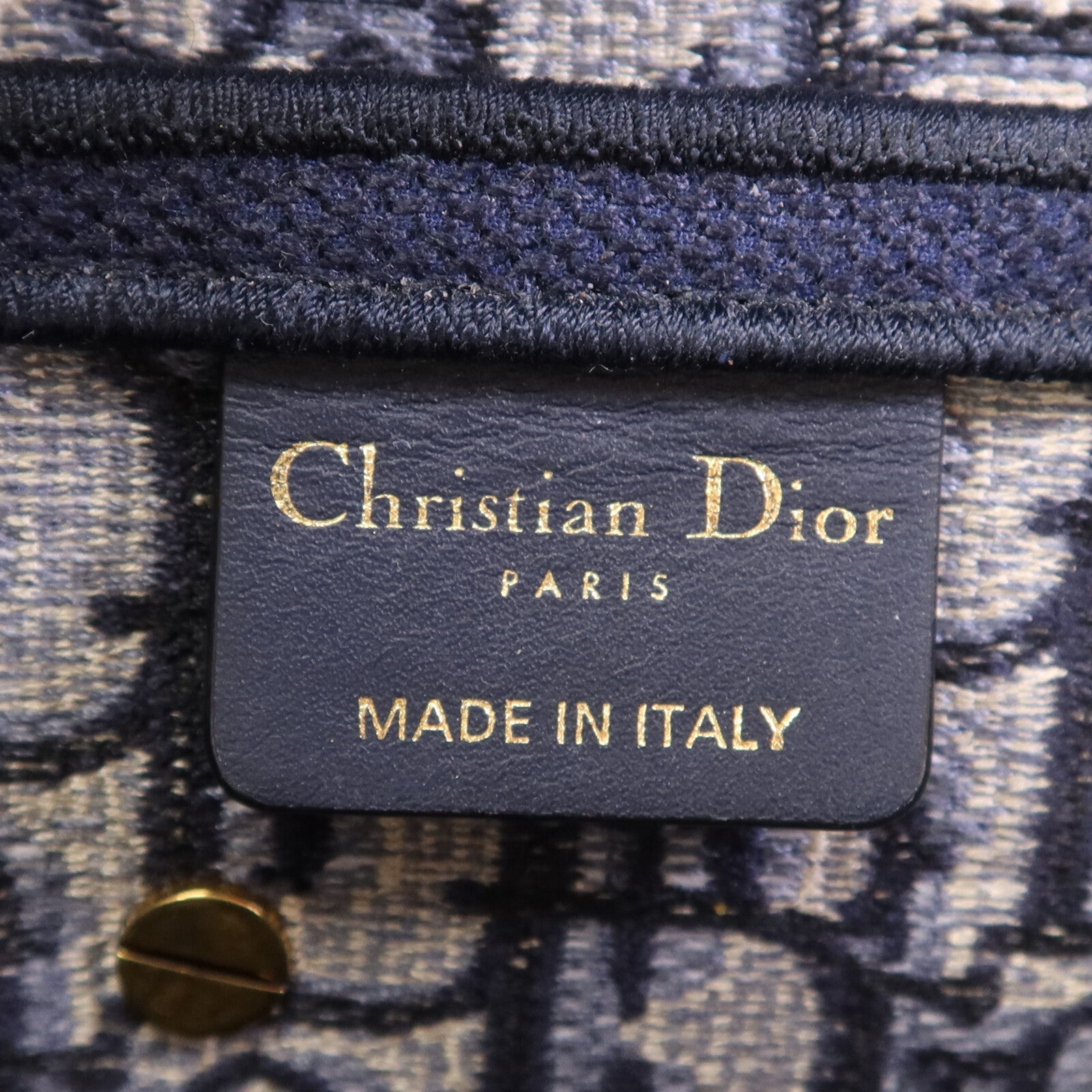 Dior 帆布Saddle Medium金扣肩背袋